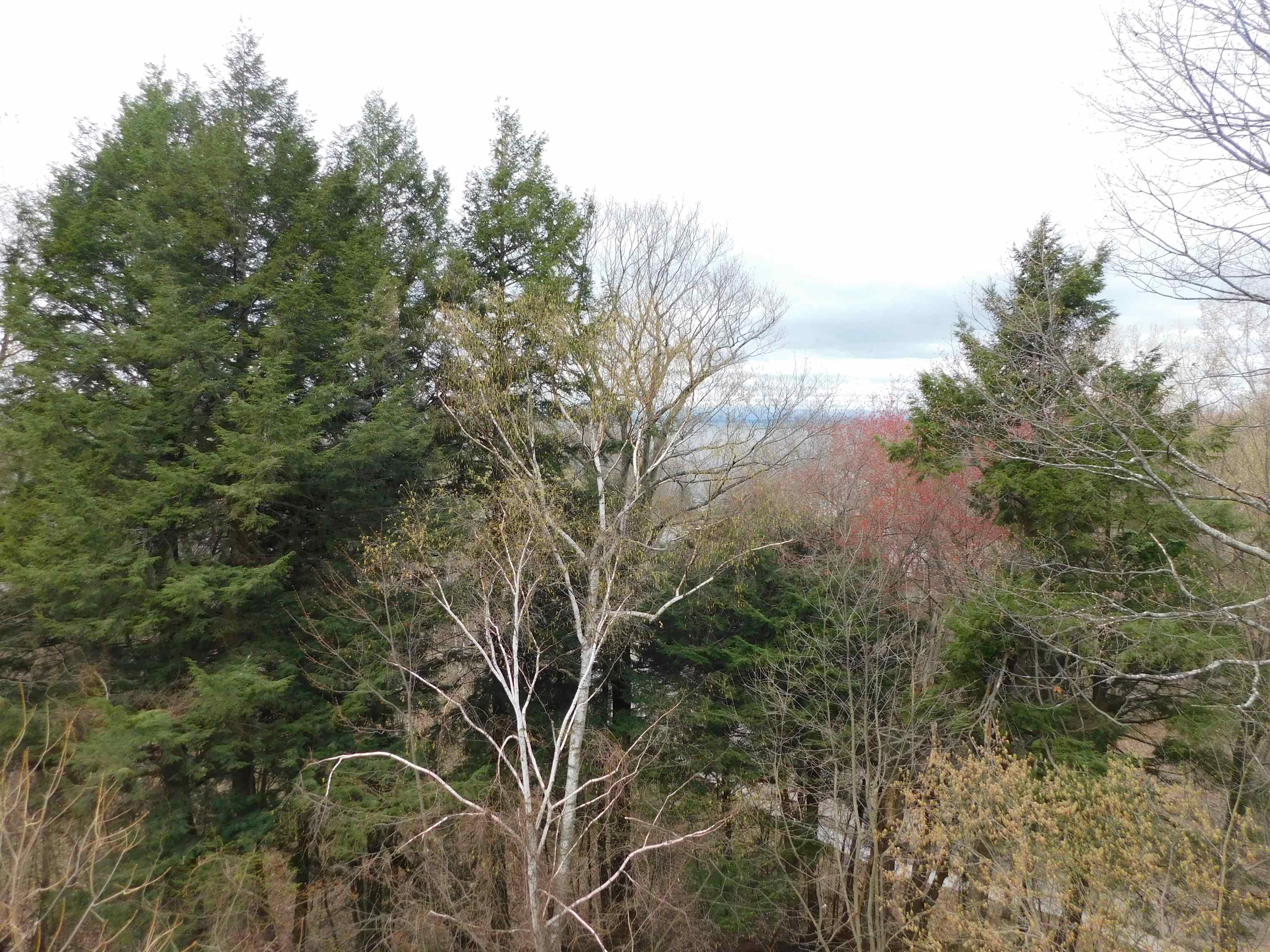 89 Claire Point Road, Unit 89 Burlington, VT 05408 - Photo 14 of 23 Gallery Image 14