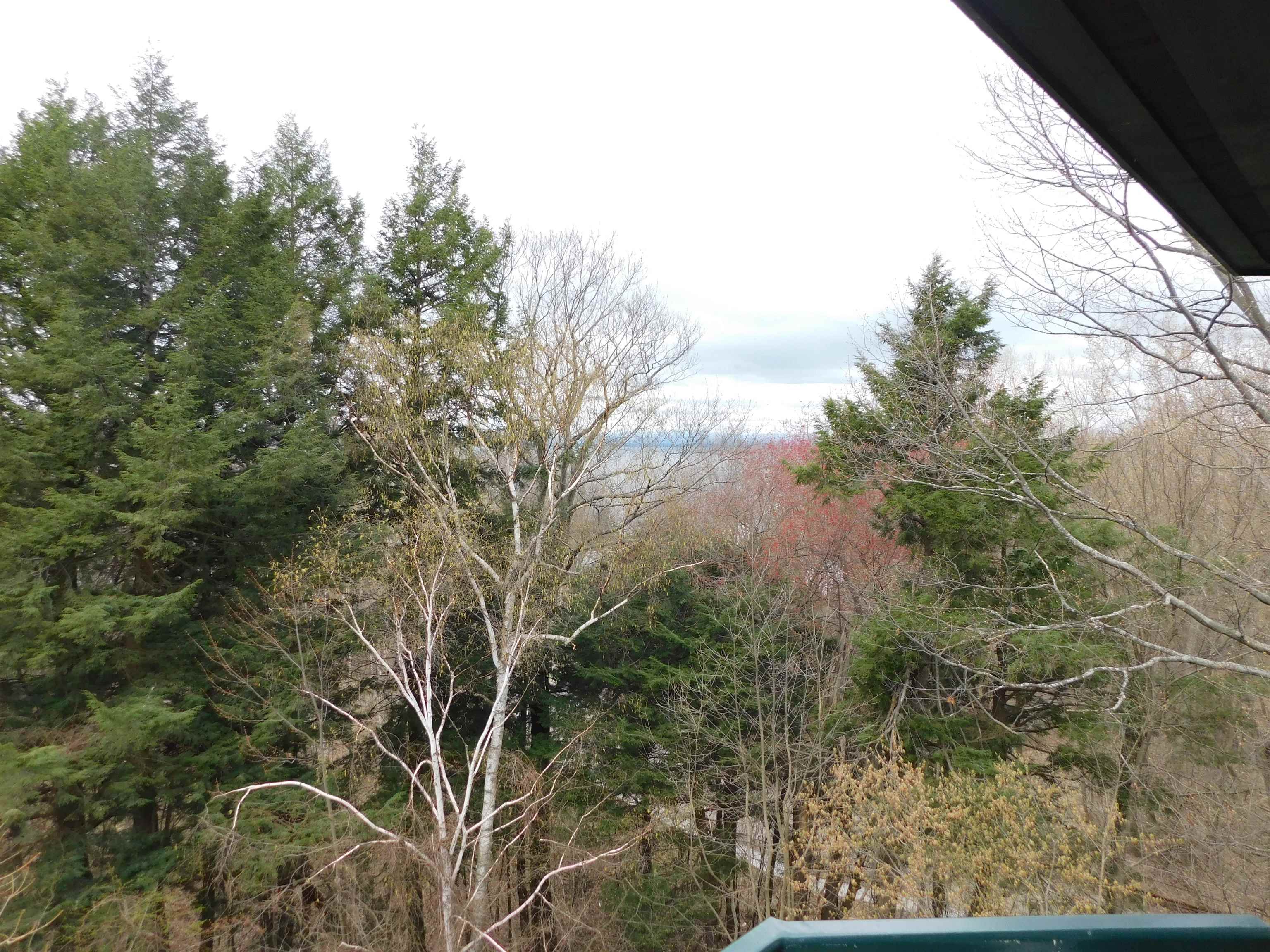89 Claire Point Road, Unit 89 Burlington, VT 05408 - Photo 15 of 23 Gallery Image 15