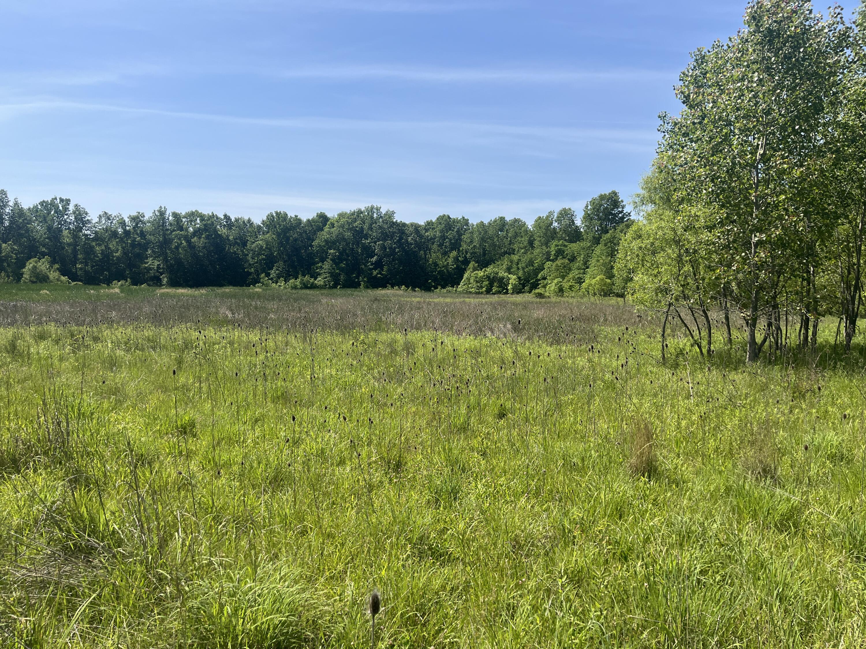 0 Boundary Road Richwood, OH 43344 - Photo 13 of 32