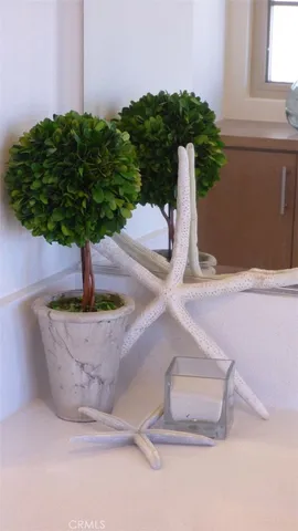 $8,900 | 202 Via Galicia, San Clemente, CA 92672