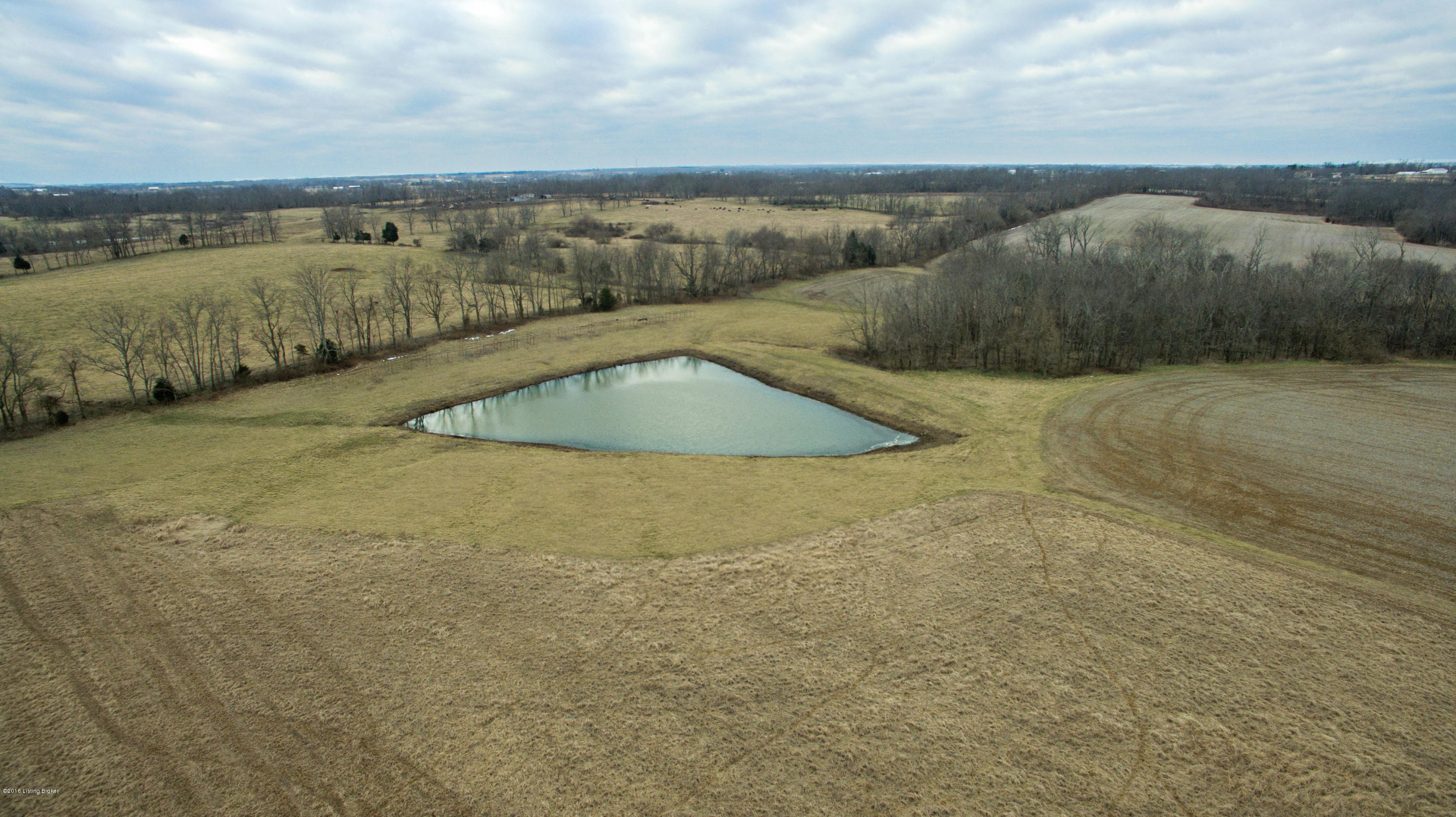 2 Cropper Road Pleasureville, KY 40057 - Photo 3 of 8 Pond