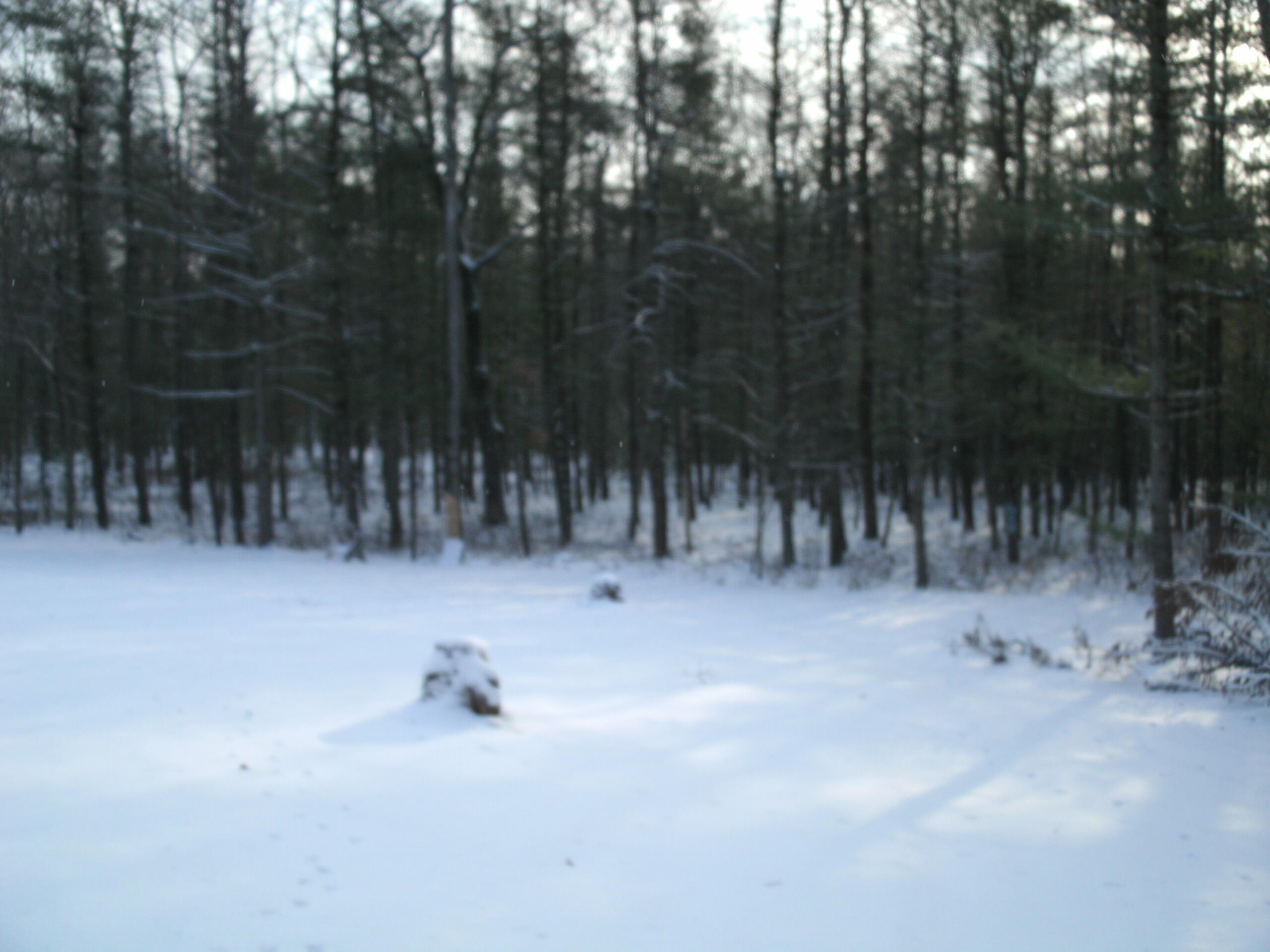 7308 East 76th Street Newaygo, MI 49337 - Photo 43 of 56 GEDC0104