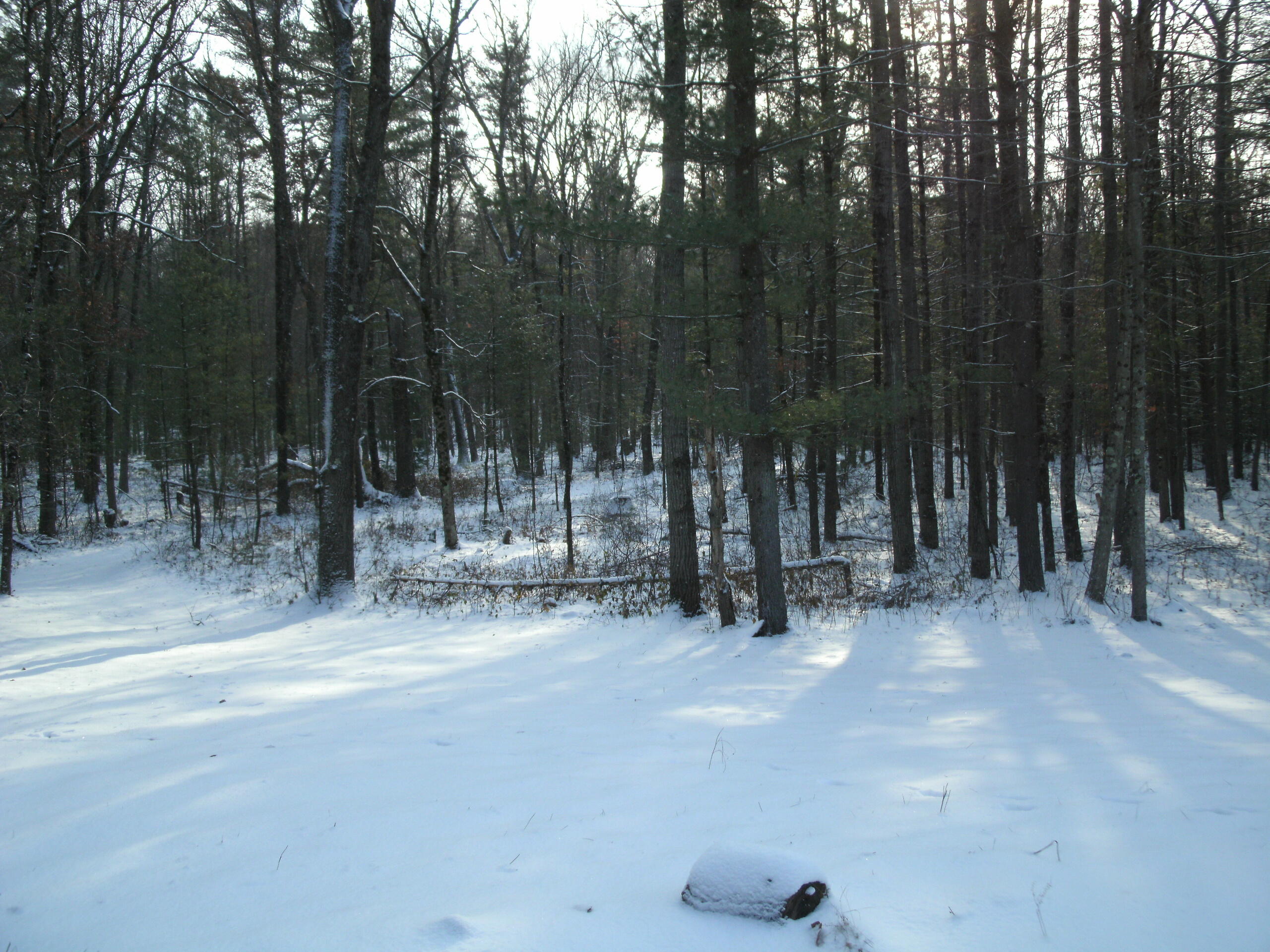 7308 East 76th Street Newaygo, MI 49337 - Photo 46 of 56 GEDC0109