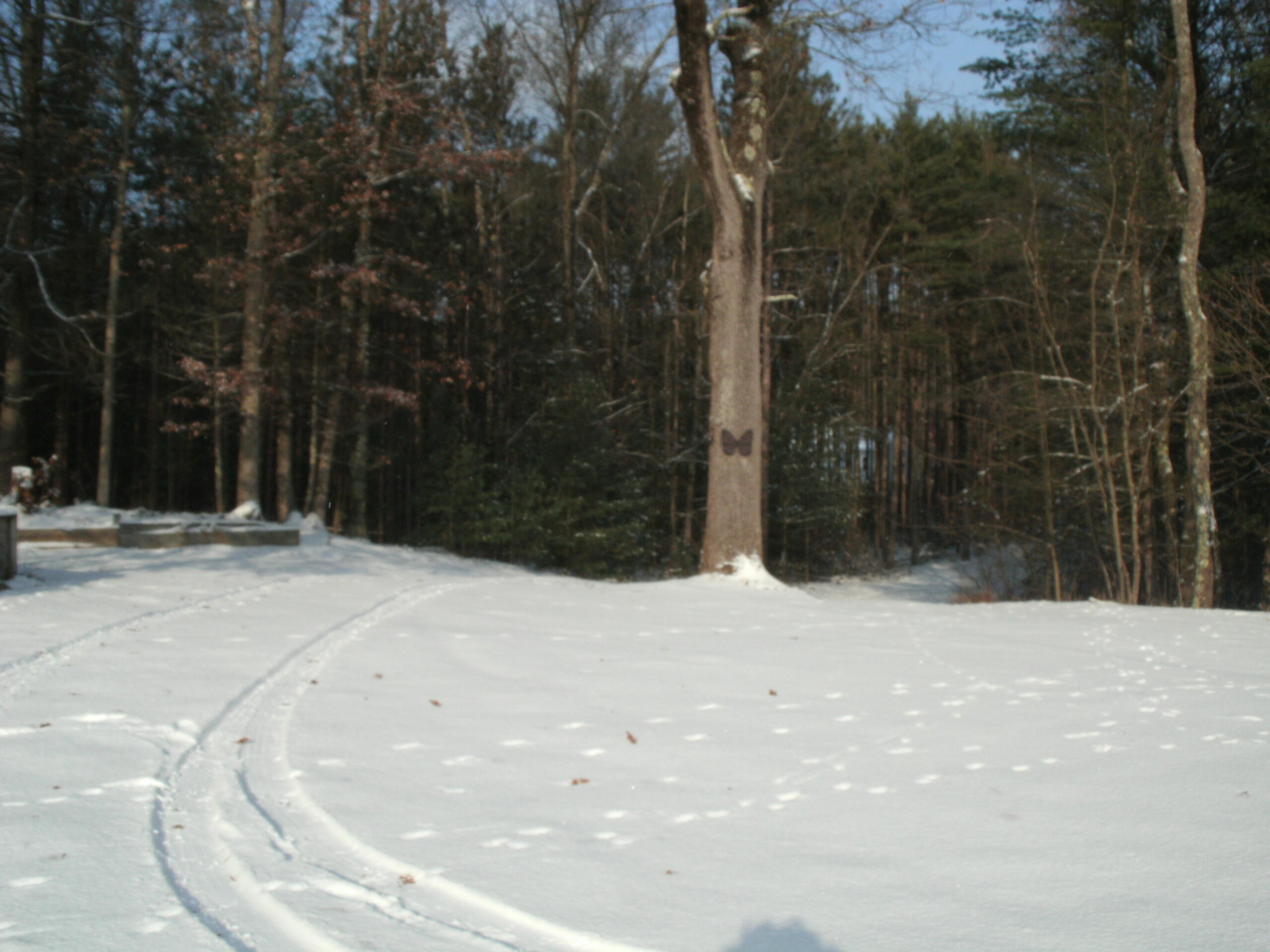 7308 East 76th Street Newaygo, MI 49337 - Photo 55 of 56 GEDC0118