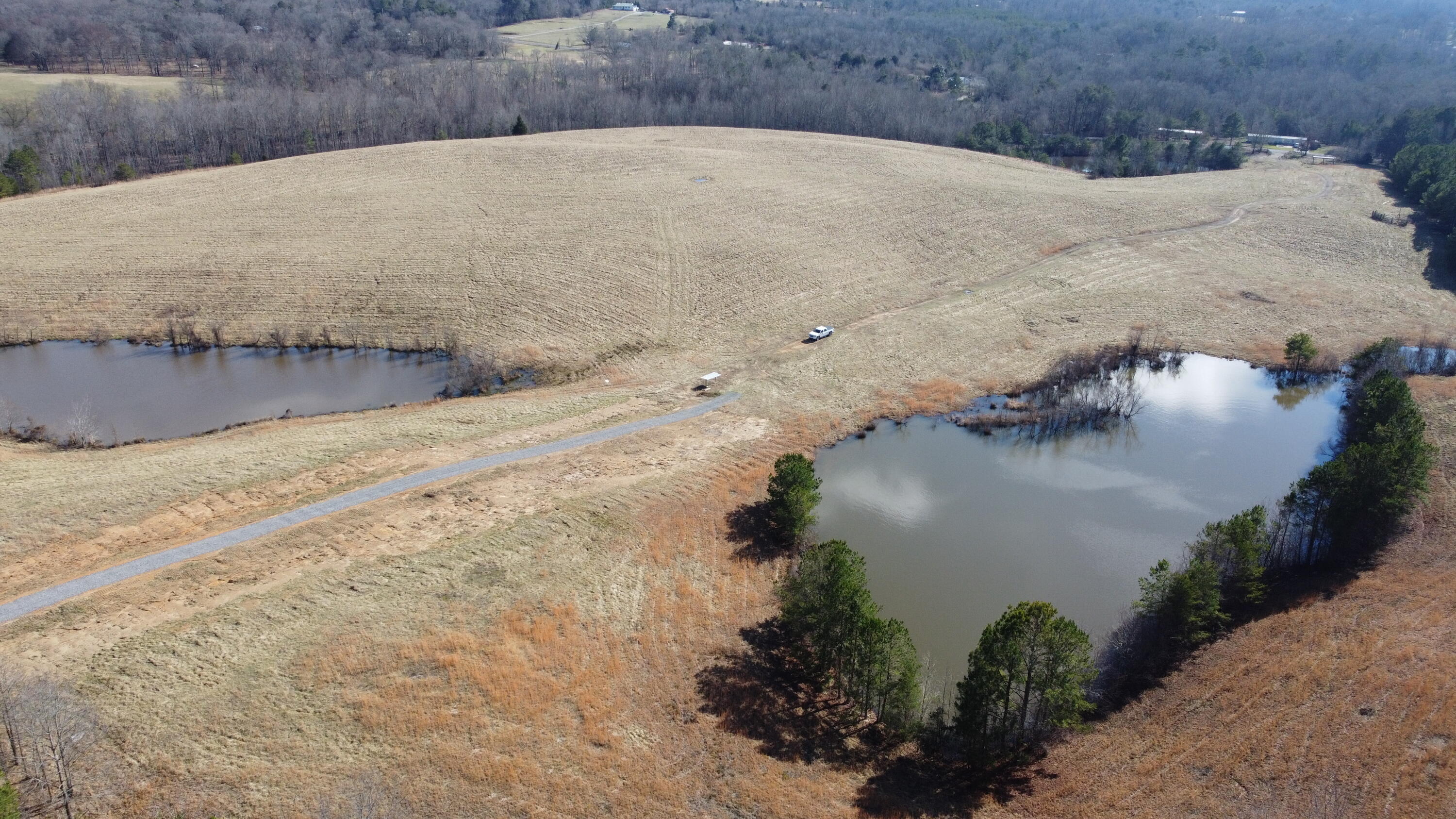 0 County Road, Unit 92 Higdon, AL 35979 - Photo 5 of 22 DJI_0584