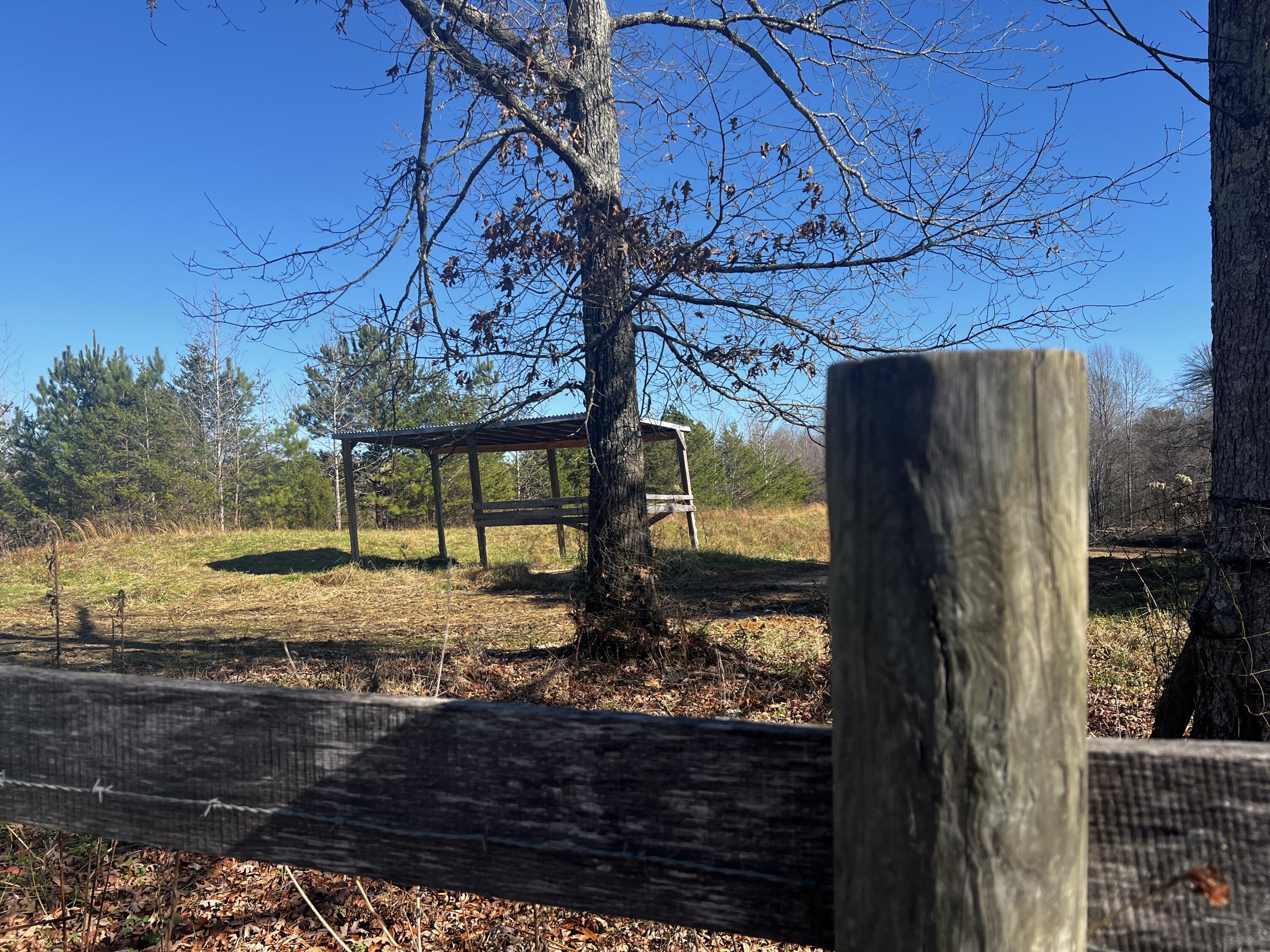 0 County Road, Unit 92 Higdon, AL 35979 - Photo 8 of 22 IMG_3845