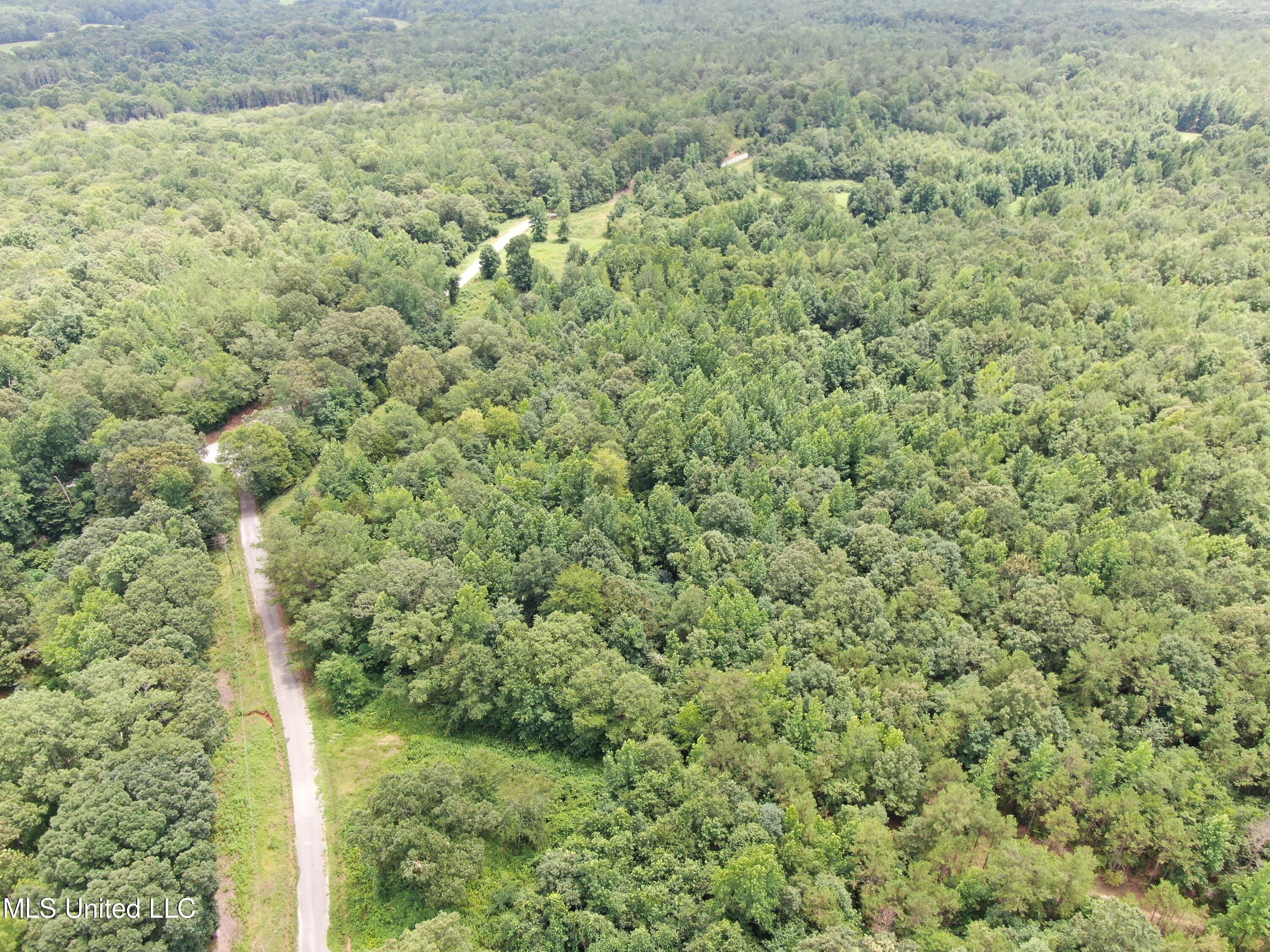95 Taylor Road Waterford, MS 38685 - Photo 1 of 28 land
