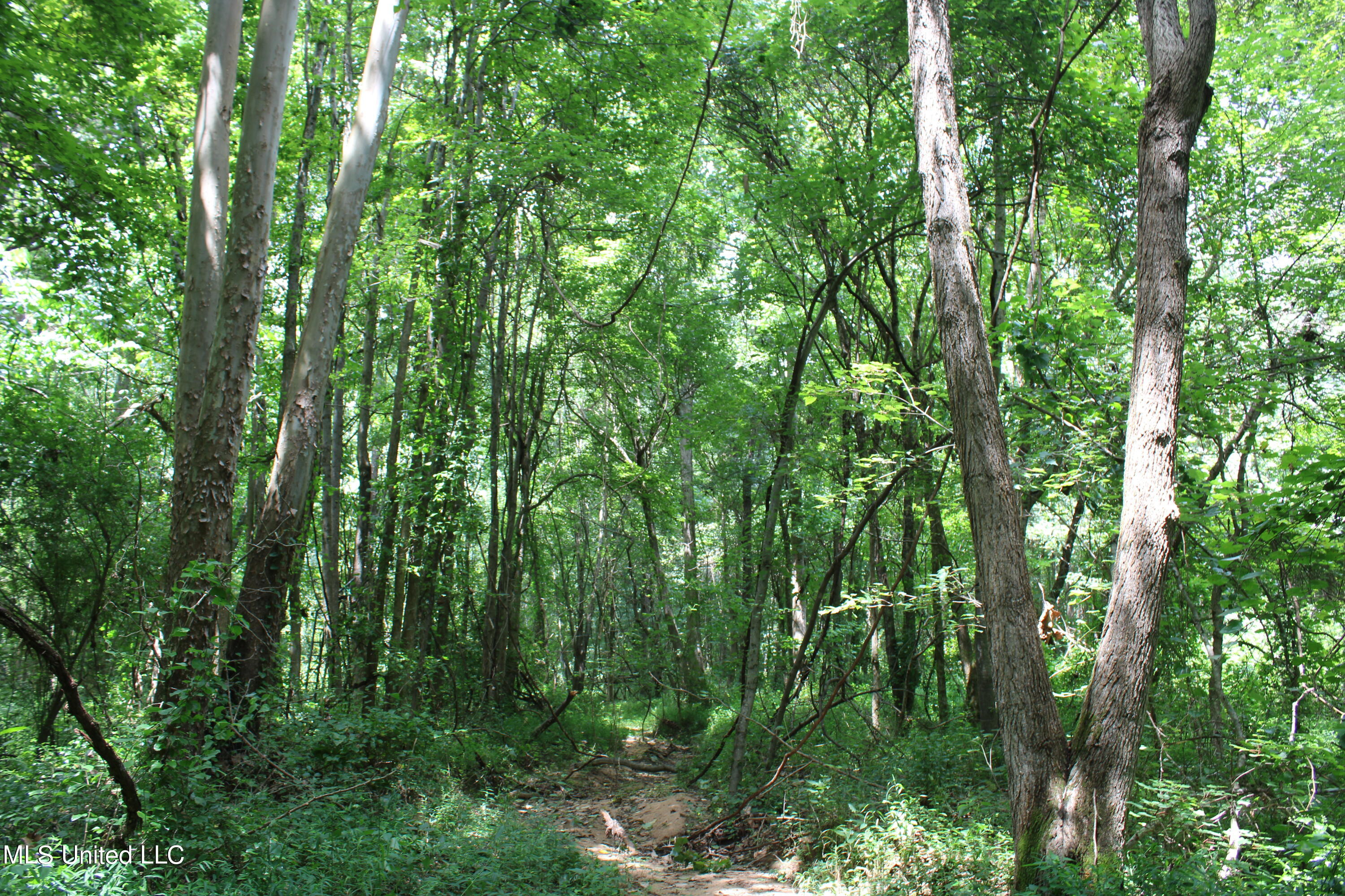 95 Taylor Road Waterford, MS 38685 - Photo 12 of 28 IMG_1757