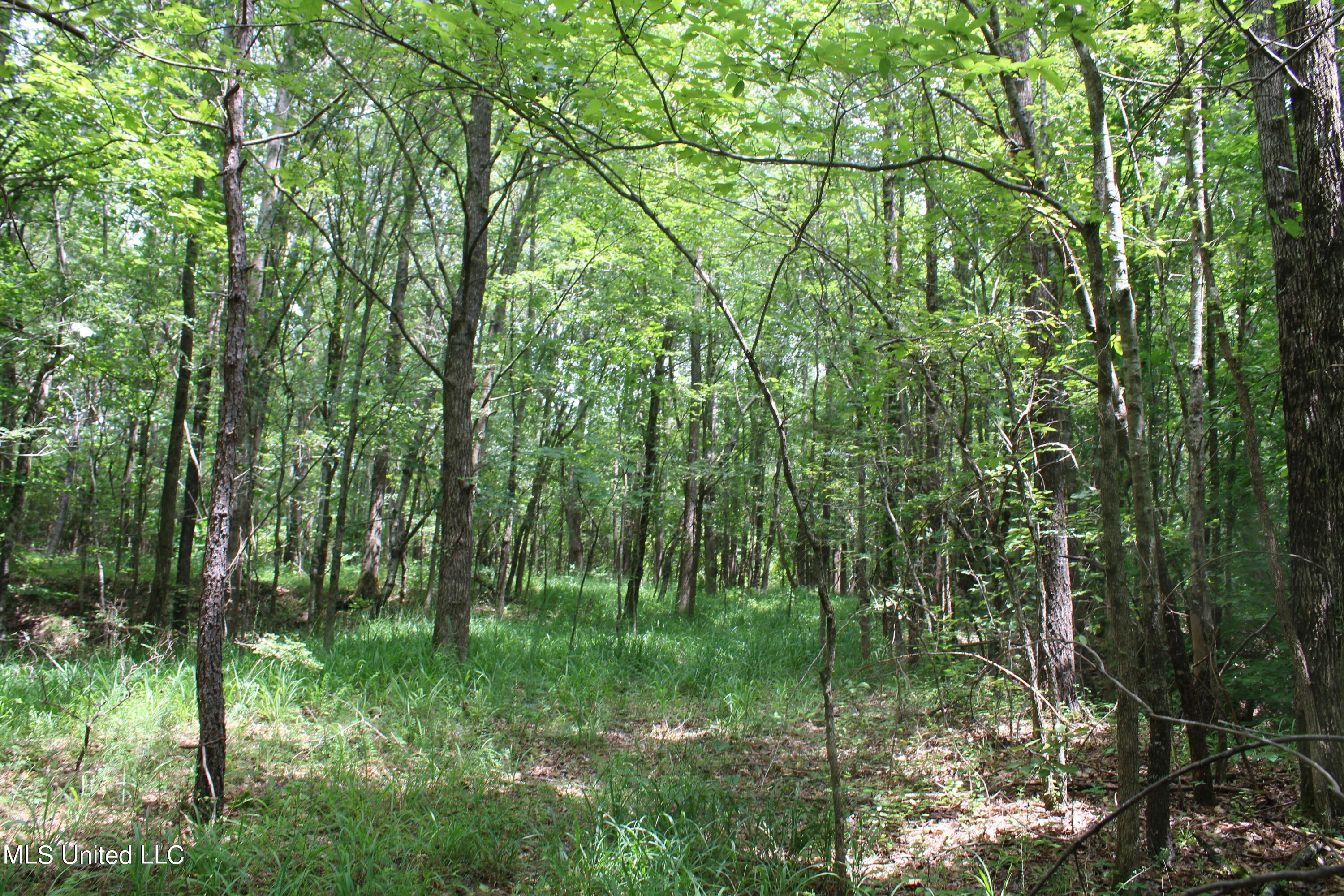 95 Taylor Road Waterford, MS 38685 - Photo 16 of 28 IMG_1761