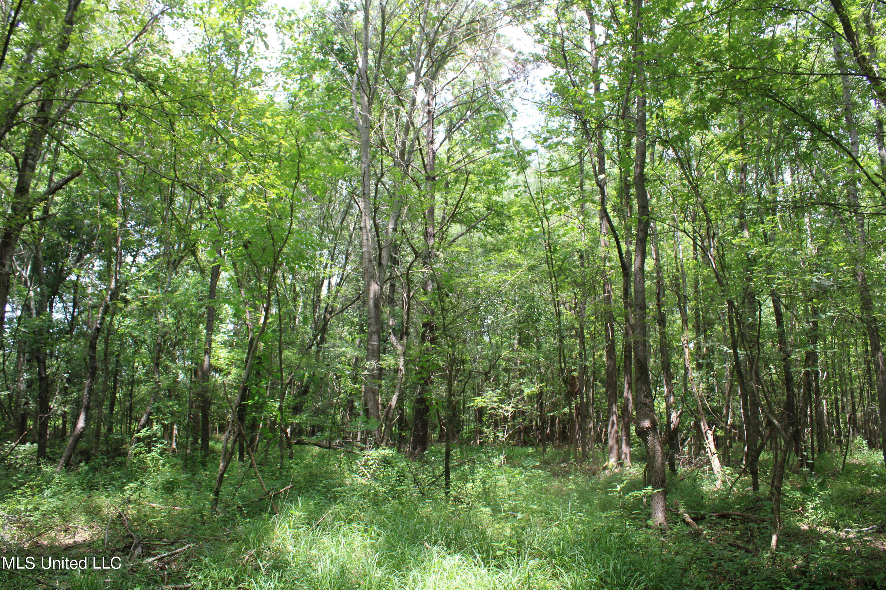 95 Taylor Road Waterford, MS 38685 - Photo 17 of 28 IMG_1762