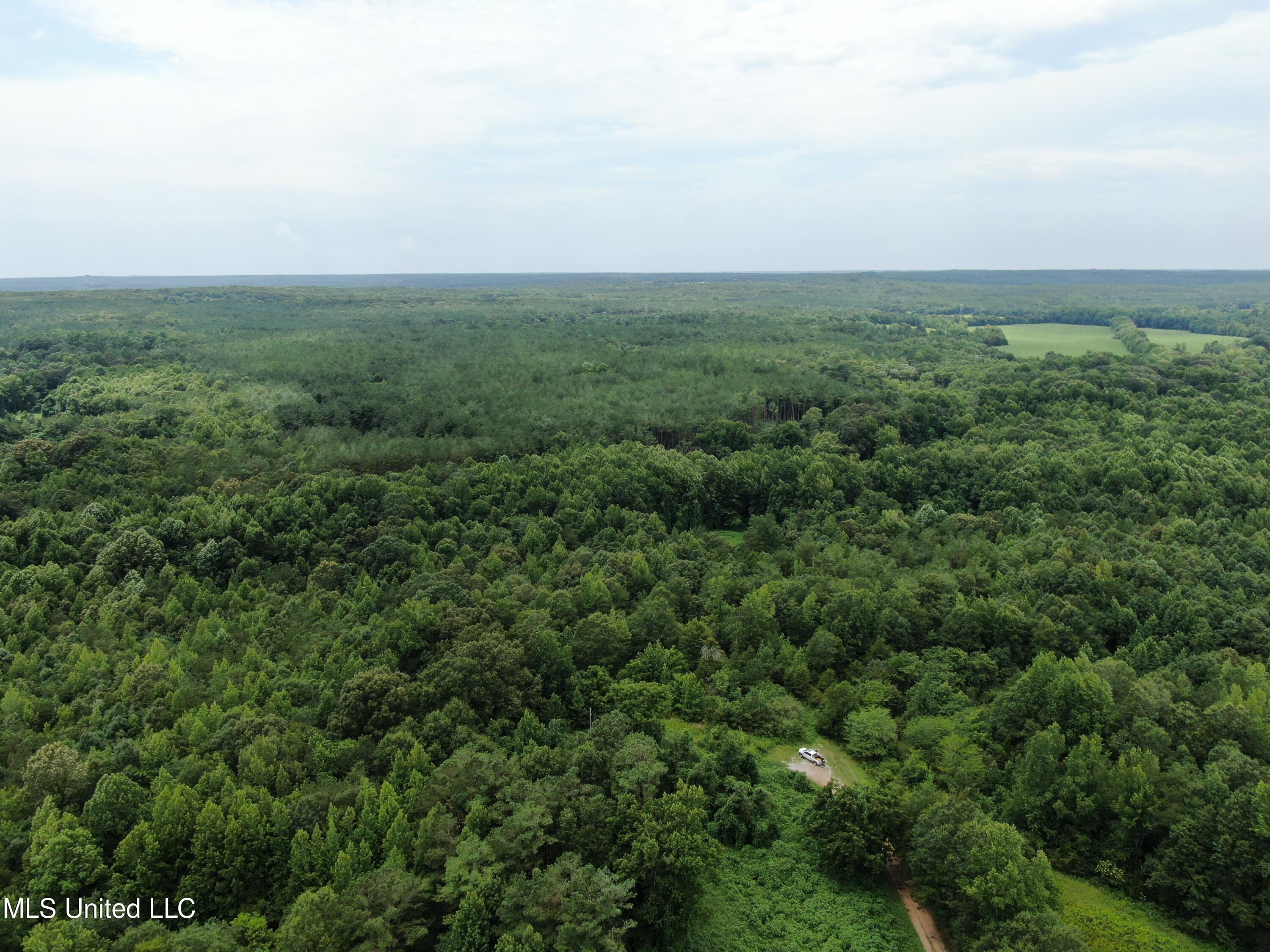 95 Taylor Road Waterford, MS 38685 - Photo 2 of 28 DJI_0904