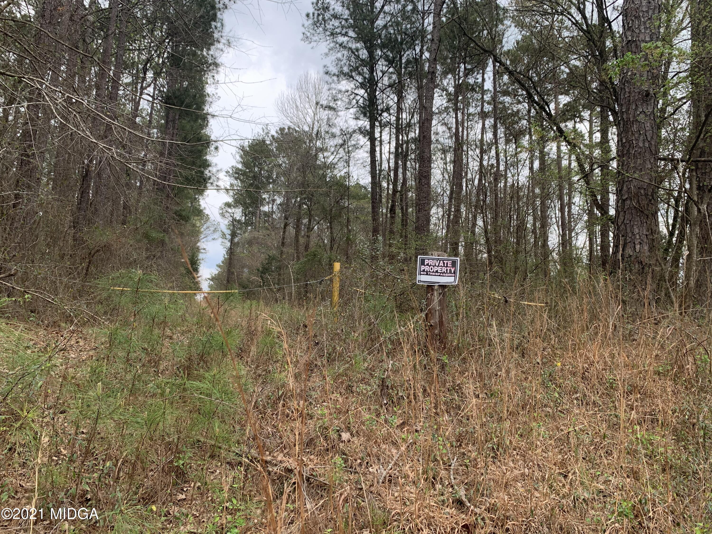 0 Russellville Road Forsyth, GA 31029 - Photo 1 of 1 a view of river covered with tall trees