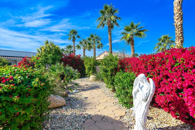 a view of a flowers in a garden
