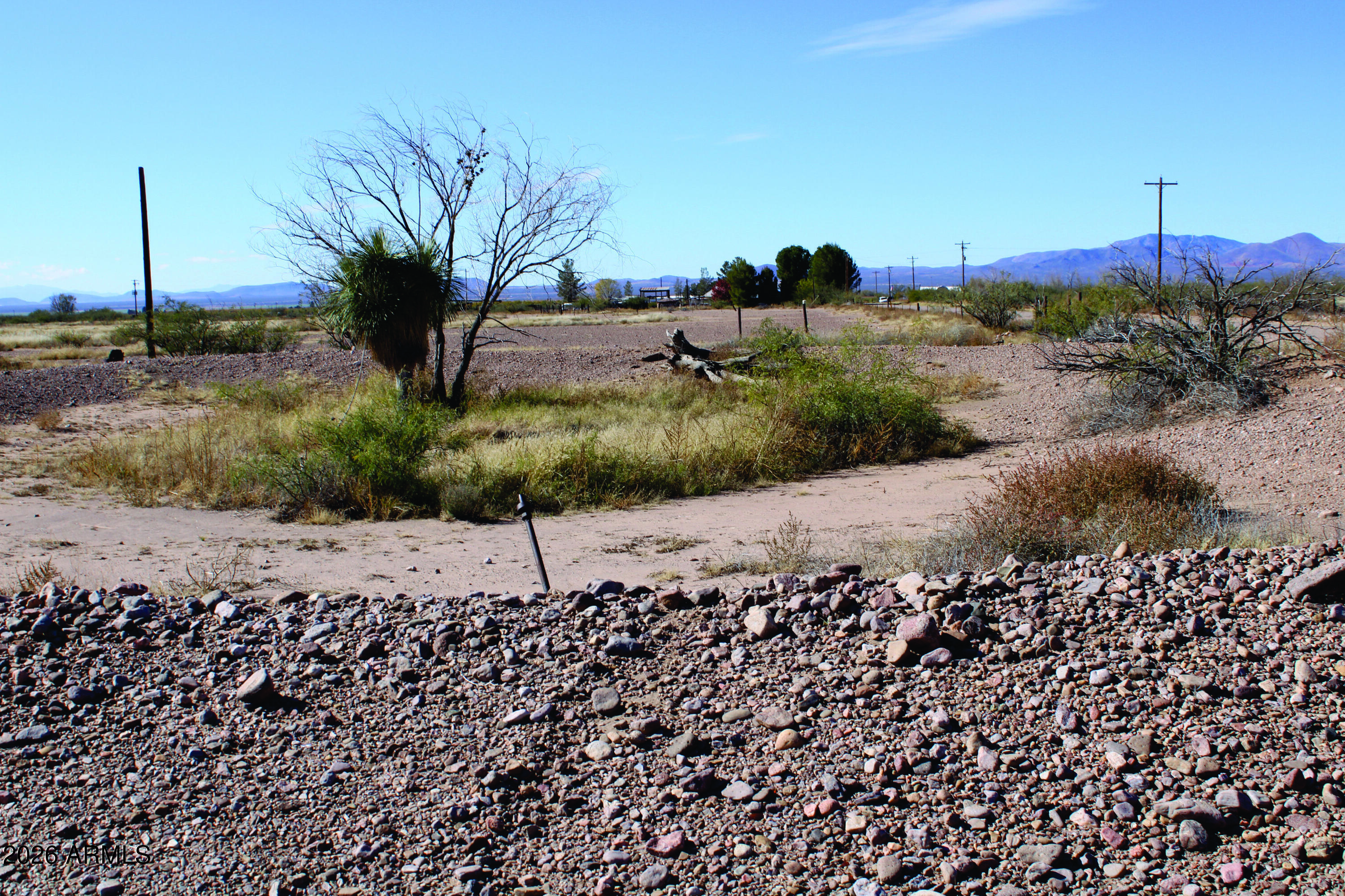 4.10-ac Thompson Road, Unit B Elfrida, AZ 85610 - Photo 26 of 34 a view of a dry yard with trees