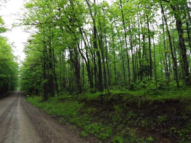 On Military Road, Unit LOT 3 Eagle River, WI 54521 - Photo 2 of 3 Gallery Image 2