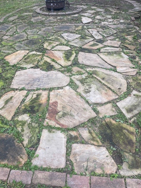 320 Oak Tree Drive Point Blank, TX 77364 - Photo 2 of 22