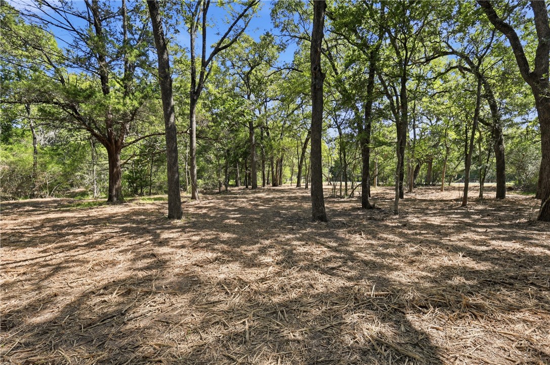 Tbd Grassbur Road Bryan, TX 77808 - Photo 6 of 18
