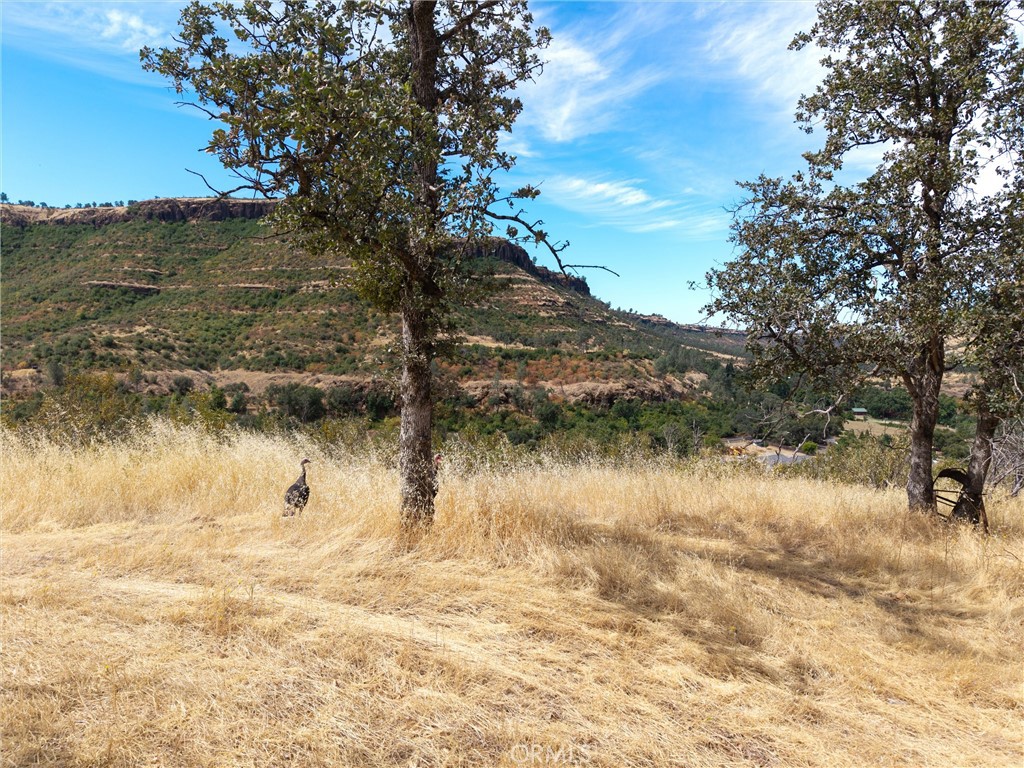 1985 Flatiron Road Chico, CA 95928 - Photo 28 of 67