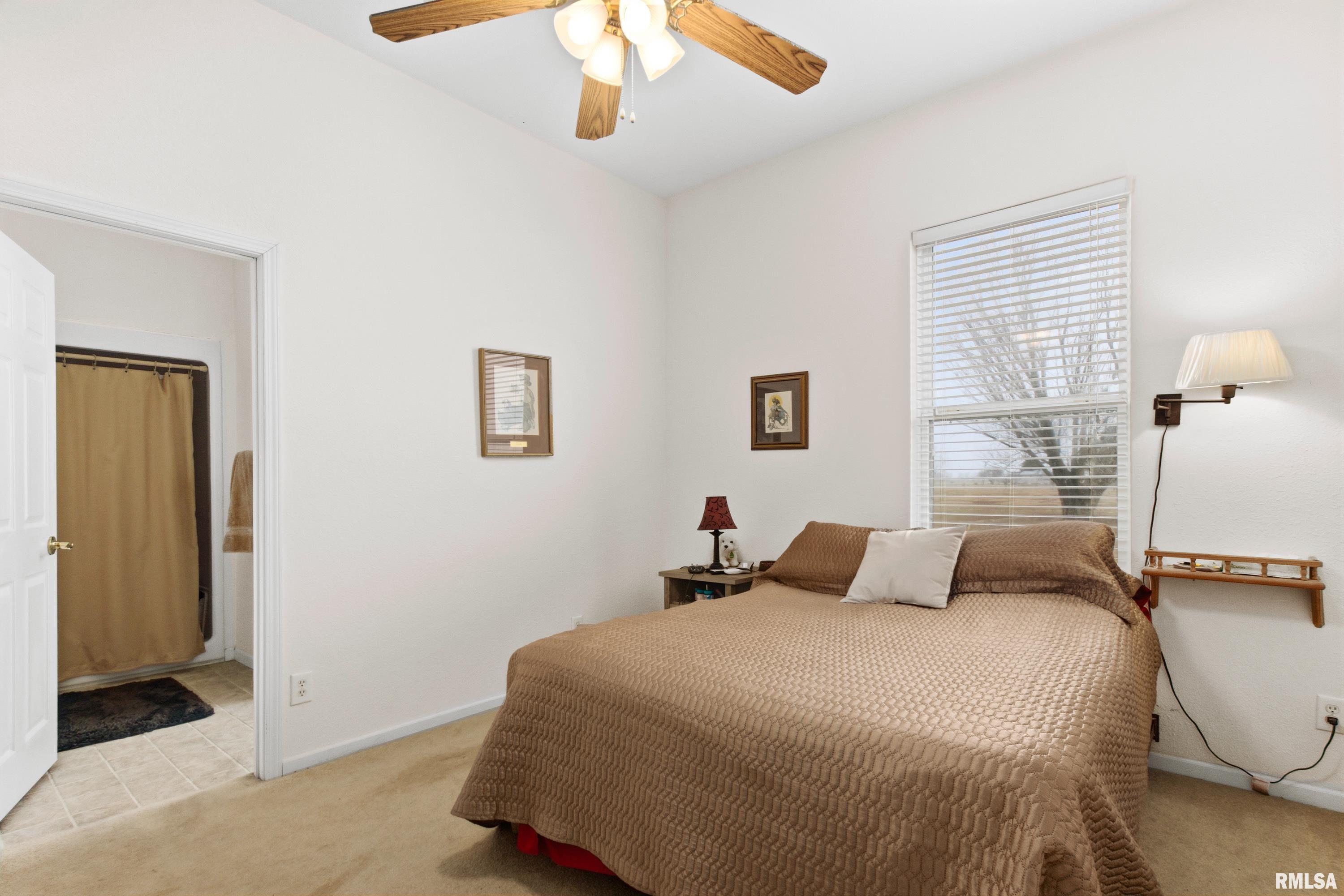 24211 North Carver Road Canton, IL 61520 - Photo 25 of 43