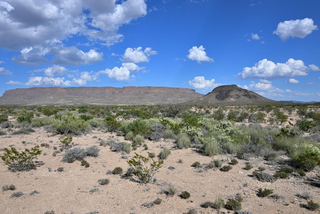 4625 Rippy Road Alpine, TX 79830 - Photo 1 of 1 Gallery Image 1