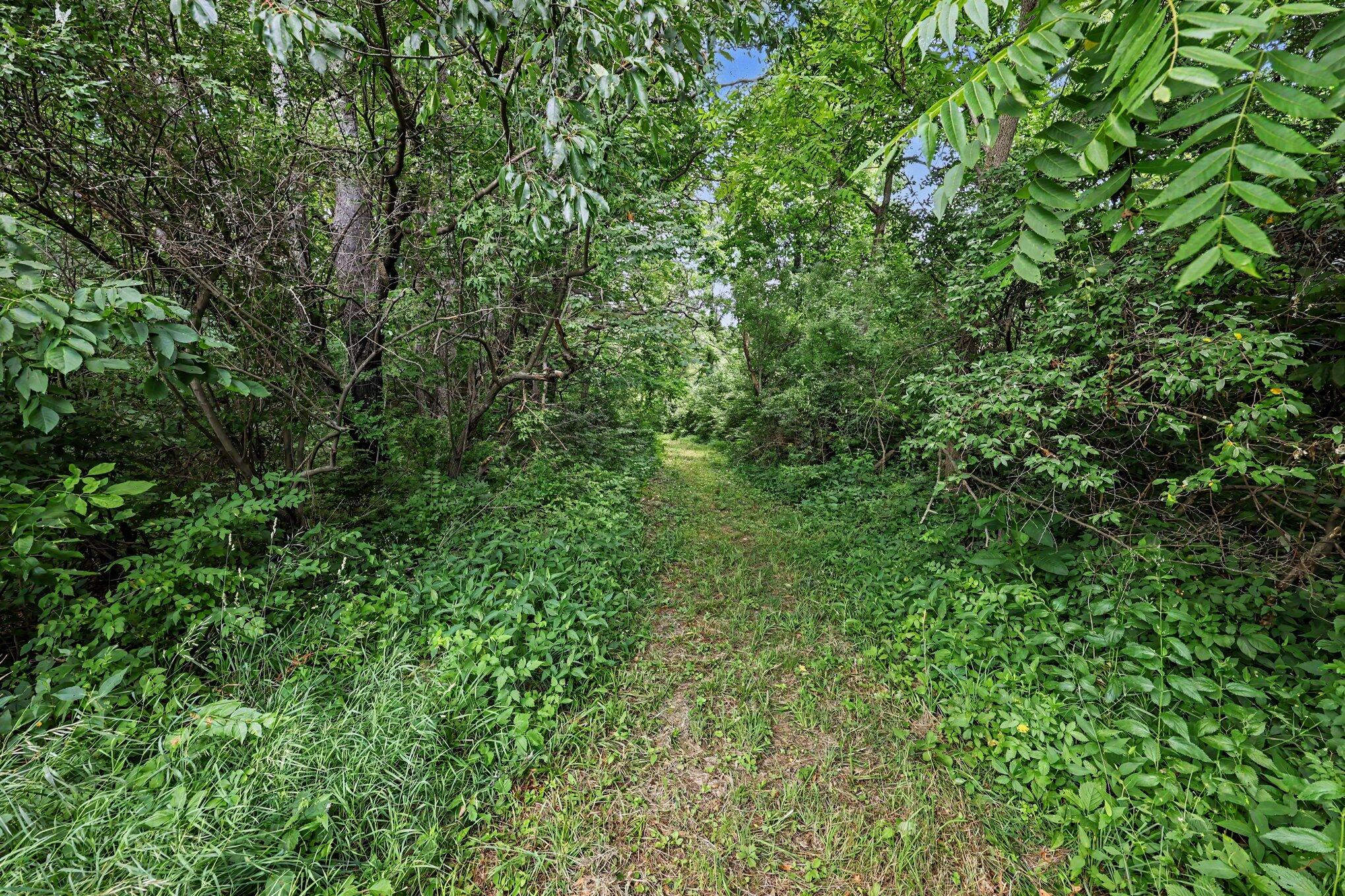 4794 Seymour Road Jackson, MI 49201 - Photo 28 of 48 025_file_4951