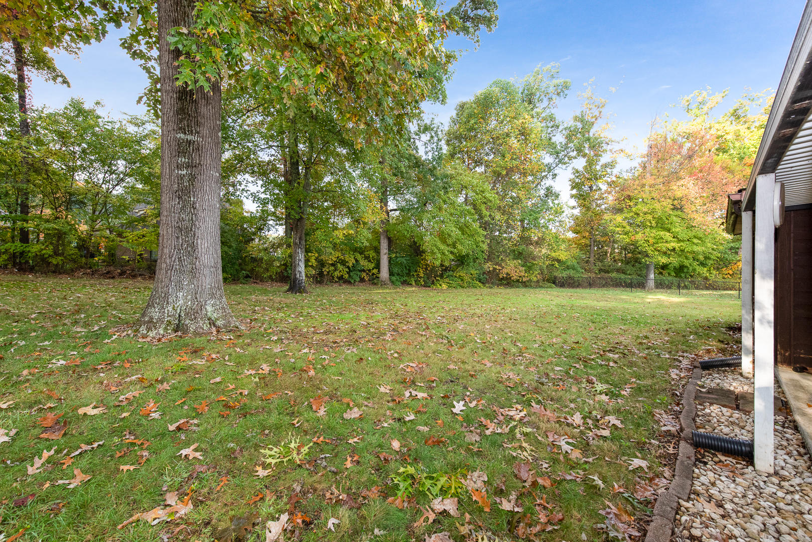 337 Wardley Road Knoxville, TN 37934 - Photo 27 of 32 Level & Large Backyard