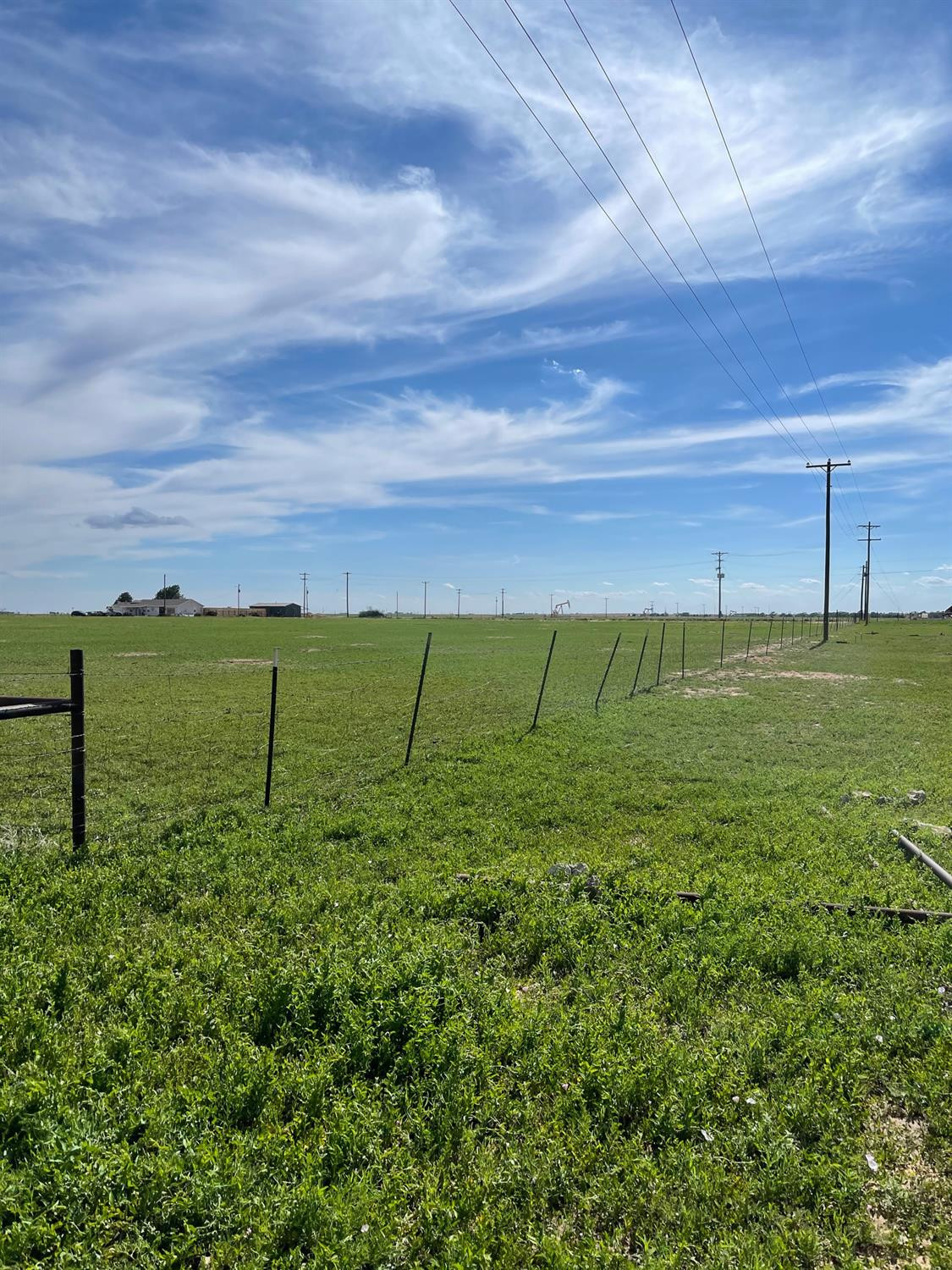 6 Quail Road Lubbock, TX 79407 - Photo 4 of 6 a view of a field with an trees in the background