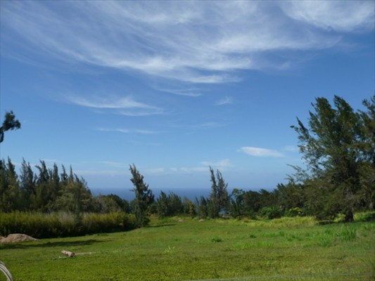 44-2356 Middle Road Honokaa, HI 96727 - Photo 5 of 16 Gallery Image 5