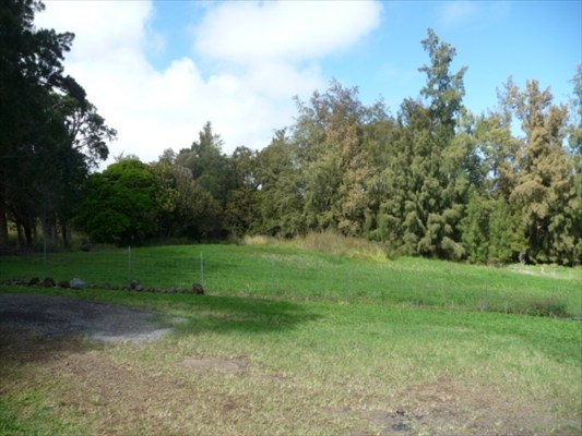44-2356 Middle Road Honokaa, HI 96727 - Photo 8 of 16 Gallery Image 8