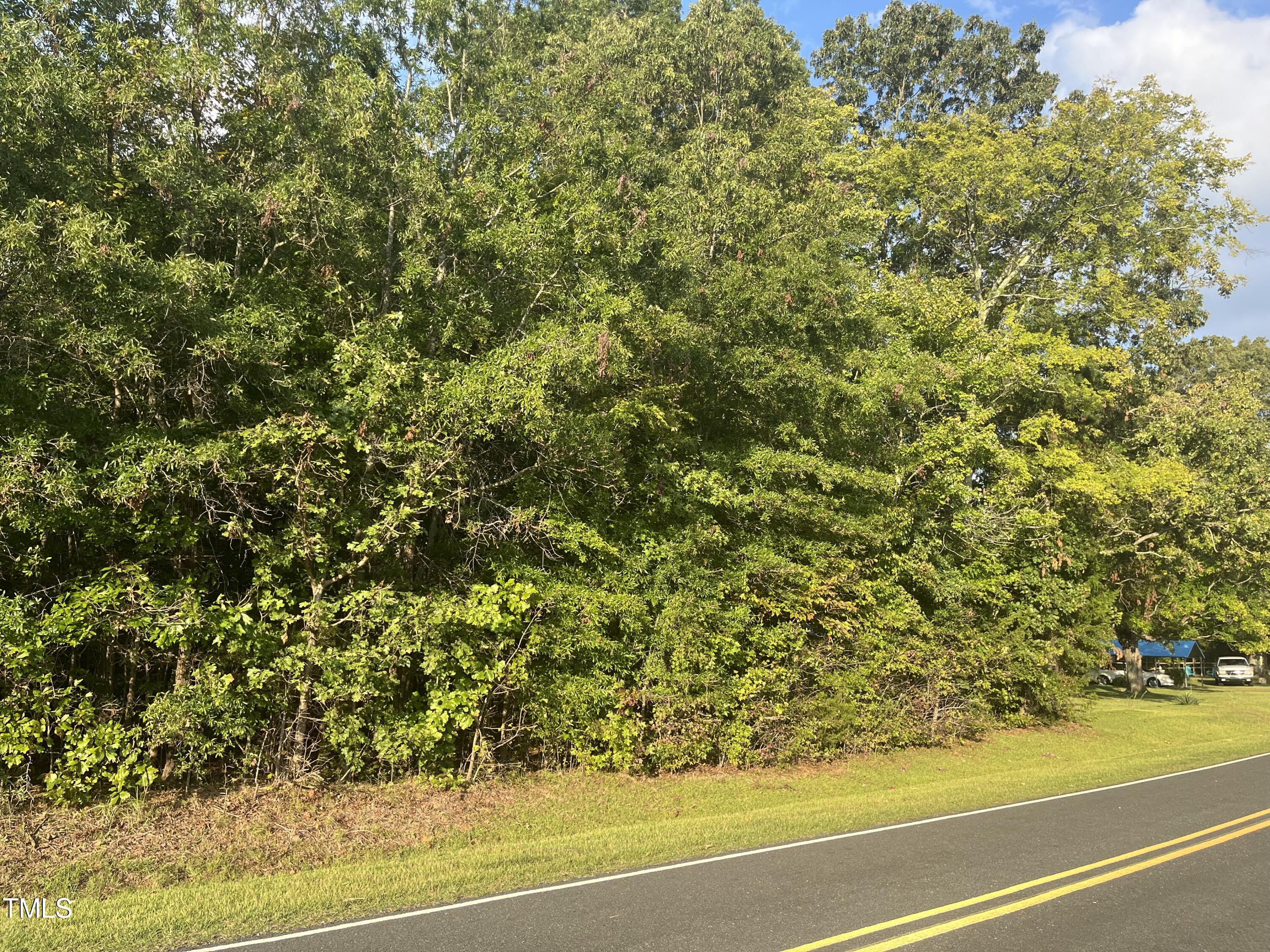 0 Royster Clay Road Roxboro, NC 27574 - Photo 12 of 14 RC pic 11