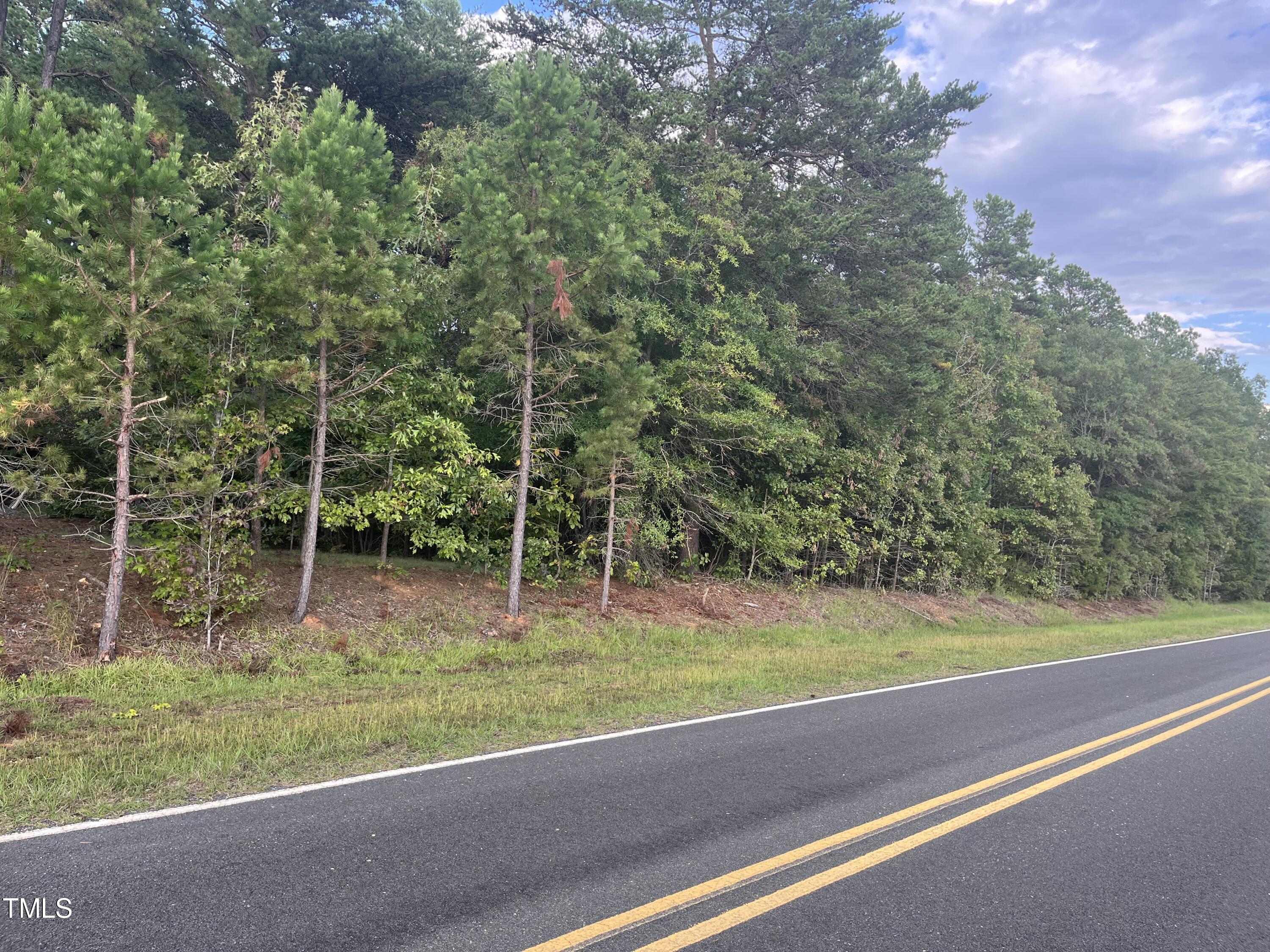 0 Royster Clay Road Roxboro, NC 27574 - Photo 3 of 14 RC pic 2