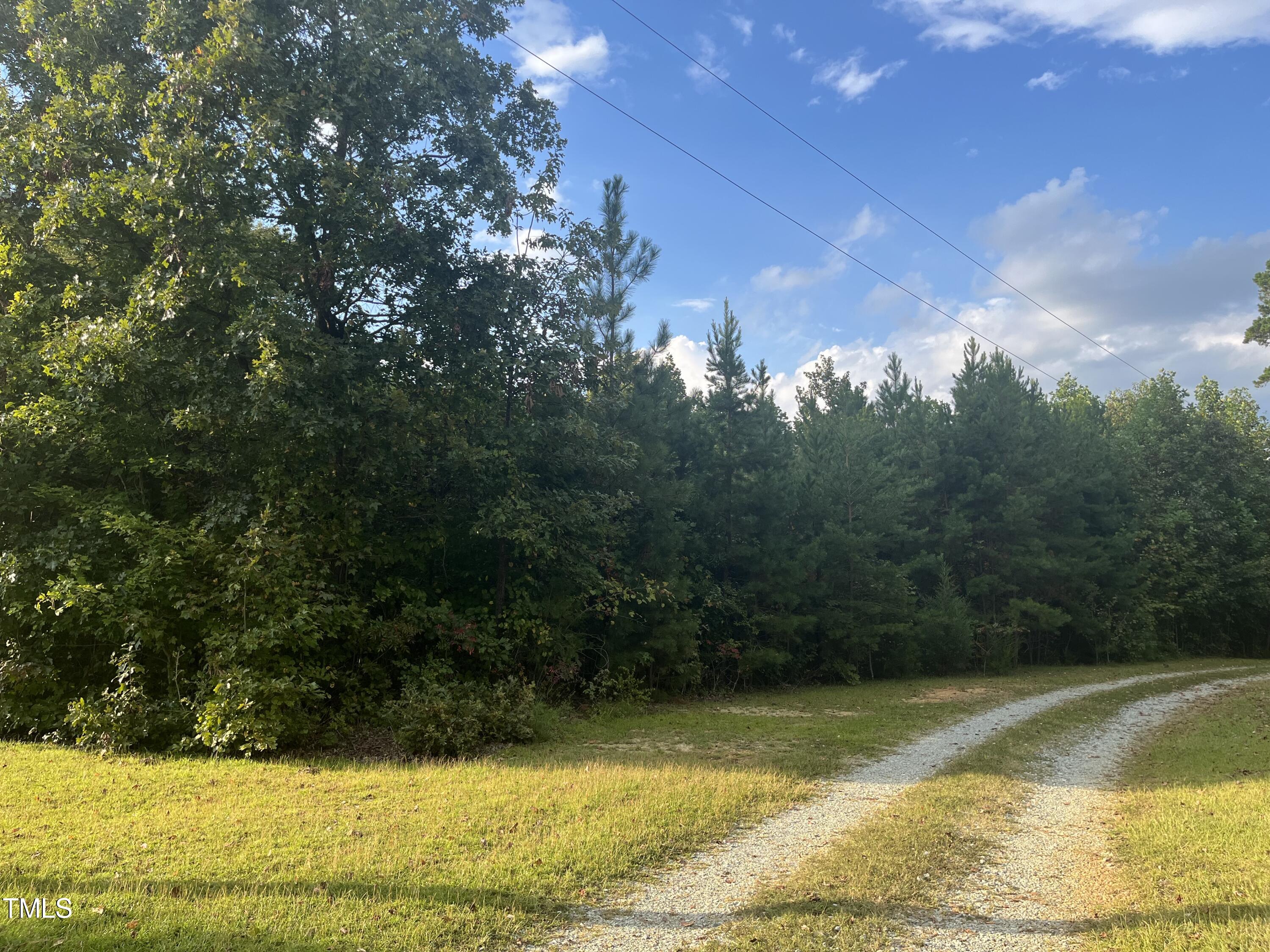 0 Royster Clay Road Roxboro, NC 27574 - Photo 7 of 14 RC pic 6