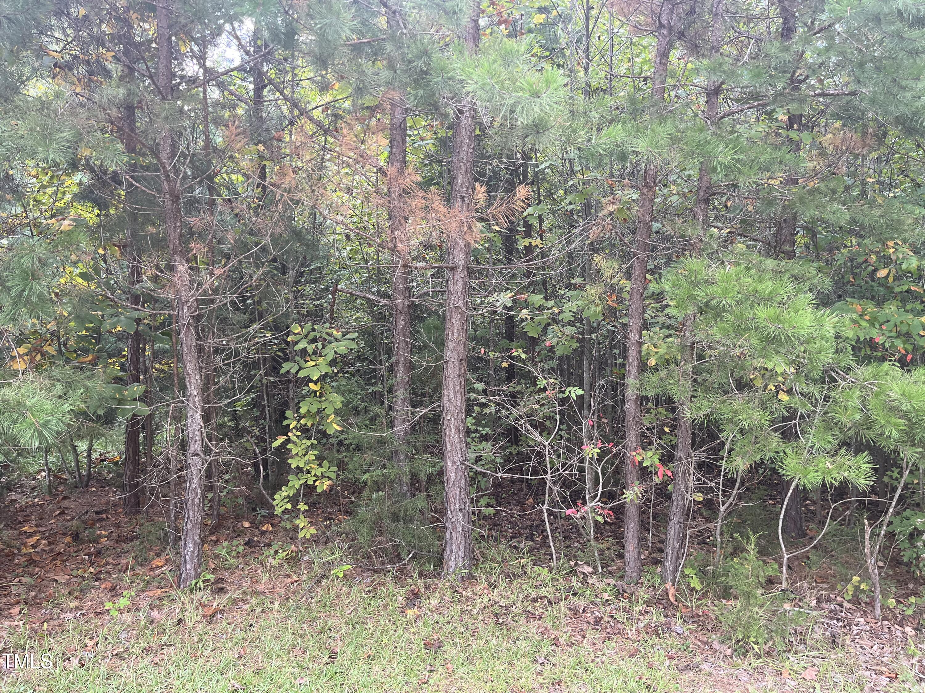 0 Royster Clay Road Roxboro, NC 27574 - Photo 8 of 14 RC pic 7