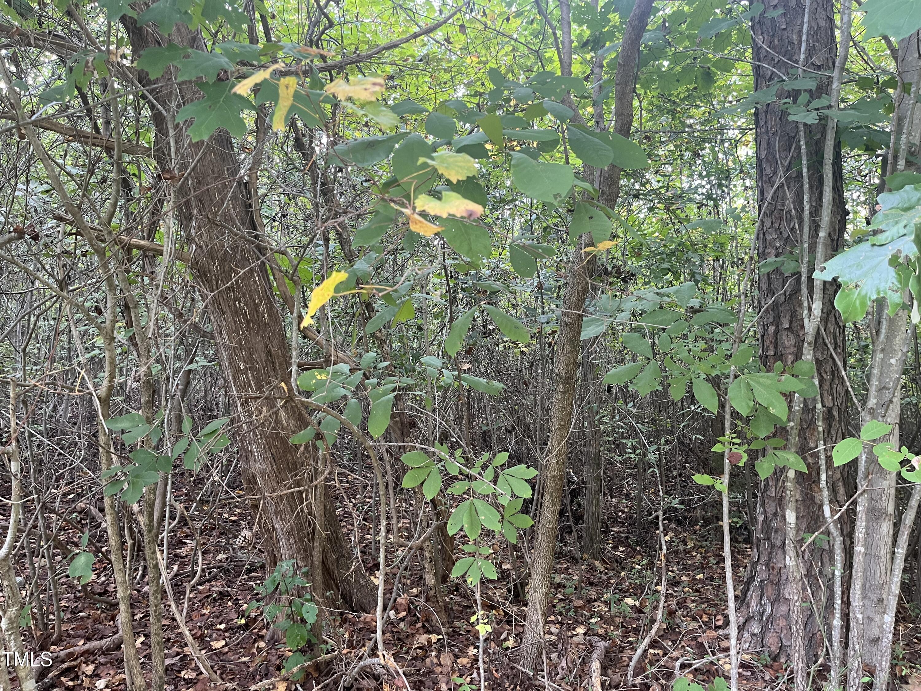 0 Royster Clay Road Roxboro, NC 27574 - Photo 9 of 14 RC pic 8
