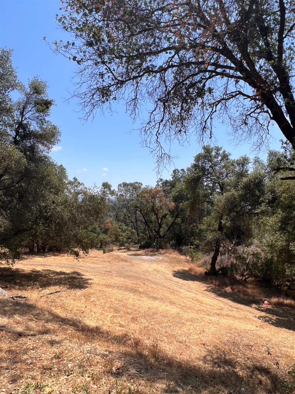5422 Carleton Road Mariposa, CA 95338 - Photo 46 of 52 Gallery Image 46