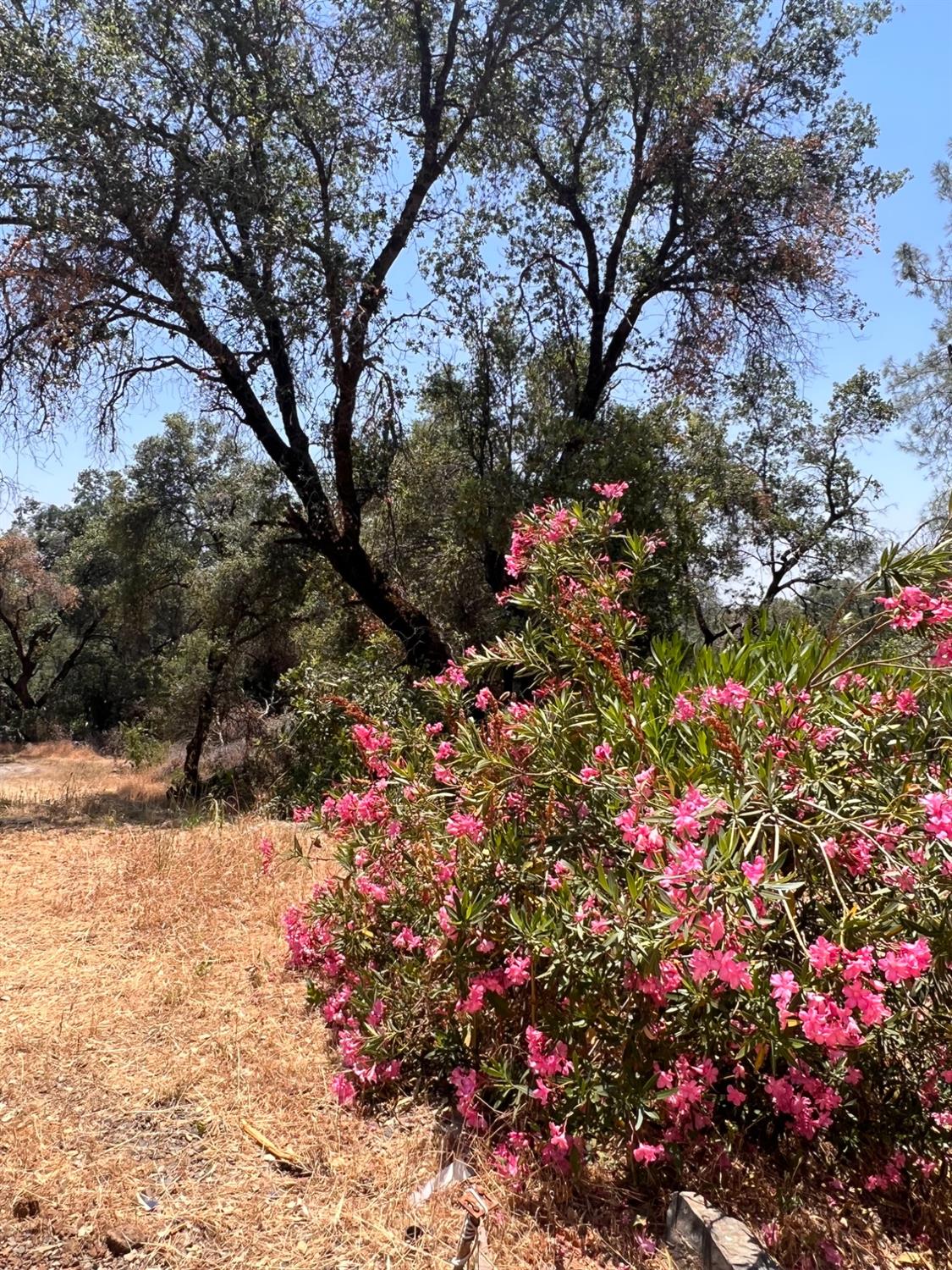 5422 Carleton Road Mariposa, CA 95338 - Photo 47 of 52 Gallery Image 47