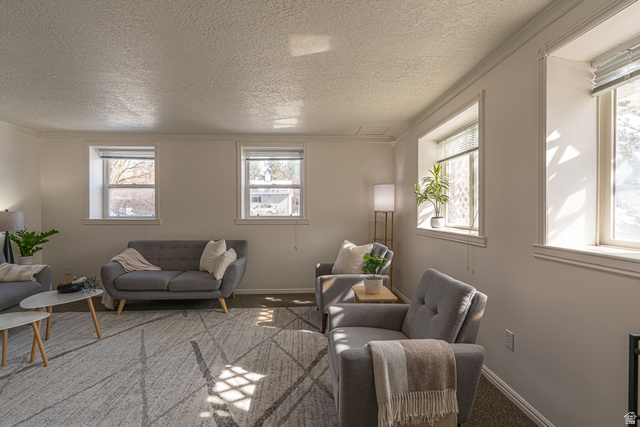 1045 Fox Farm Road Logan, UT 84321 - Photo 11 of 65 Living area with carpet, a textured ceiling, and ornamental molding