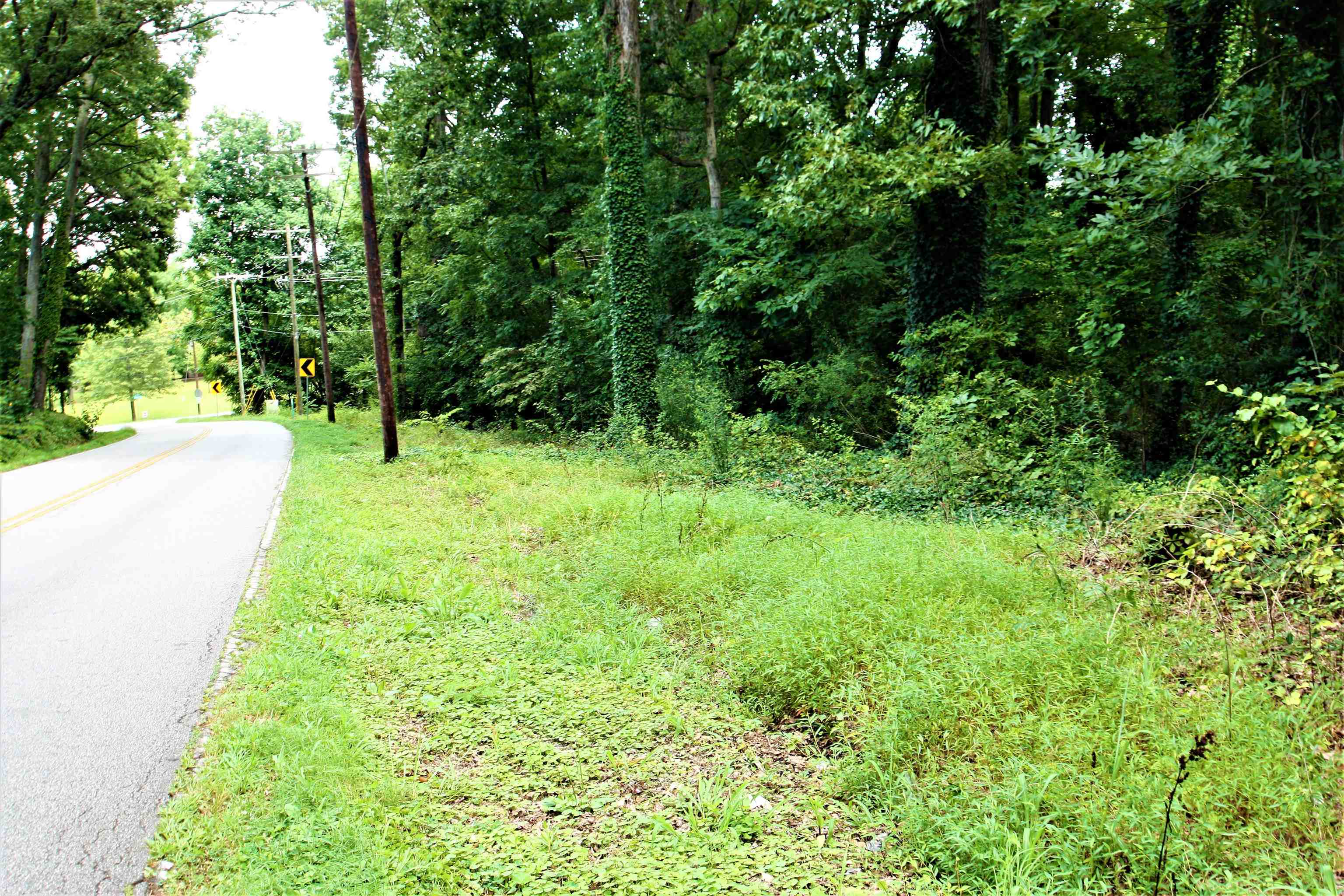 Love Springs Road Cowpens, SC 29330 - Photo 1 of 19