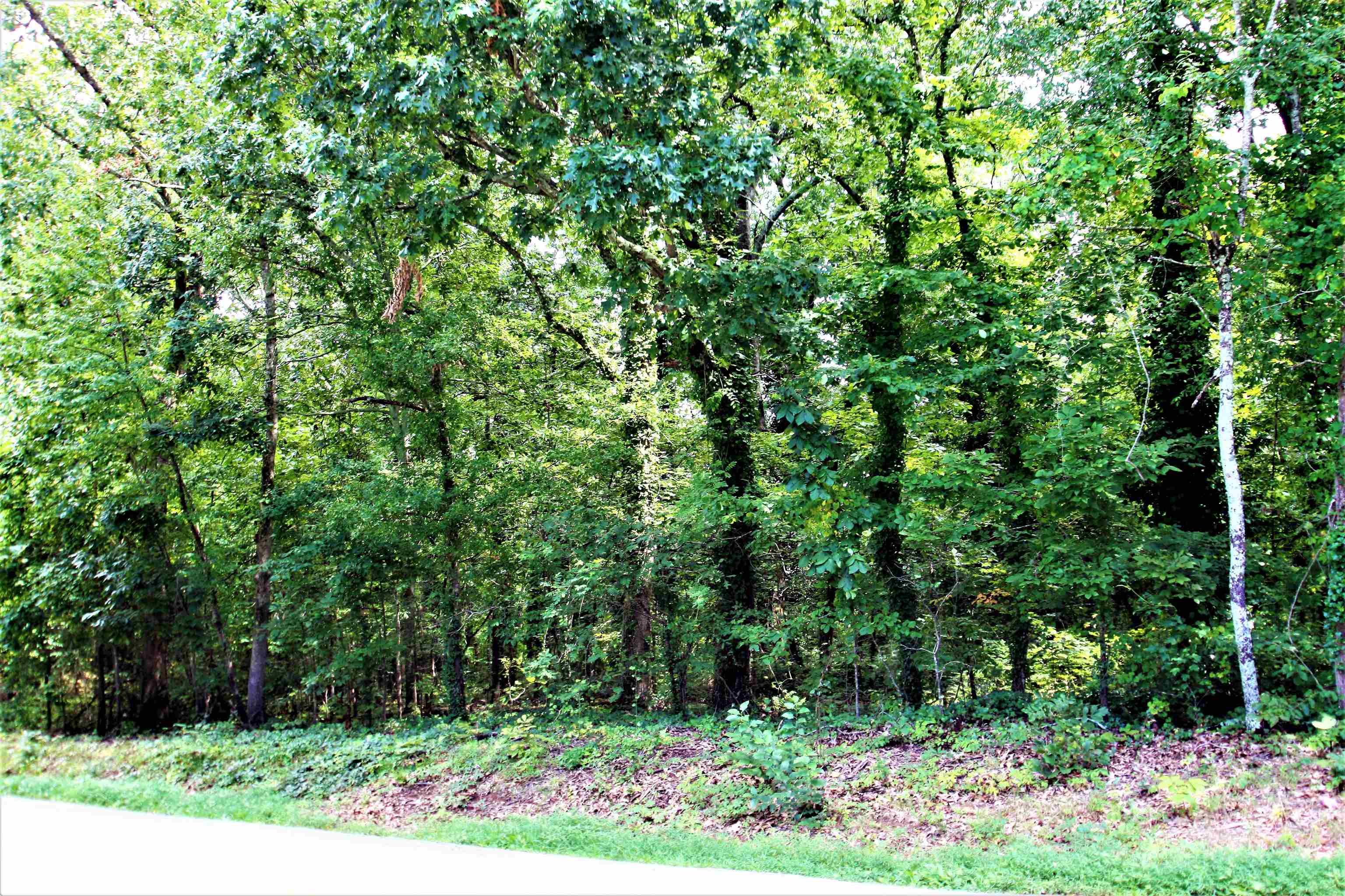 Love Springs Road Cowpens, SC 29330 - Photo 15 of 19