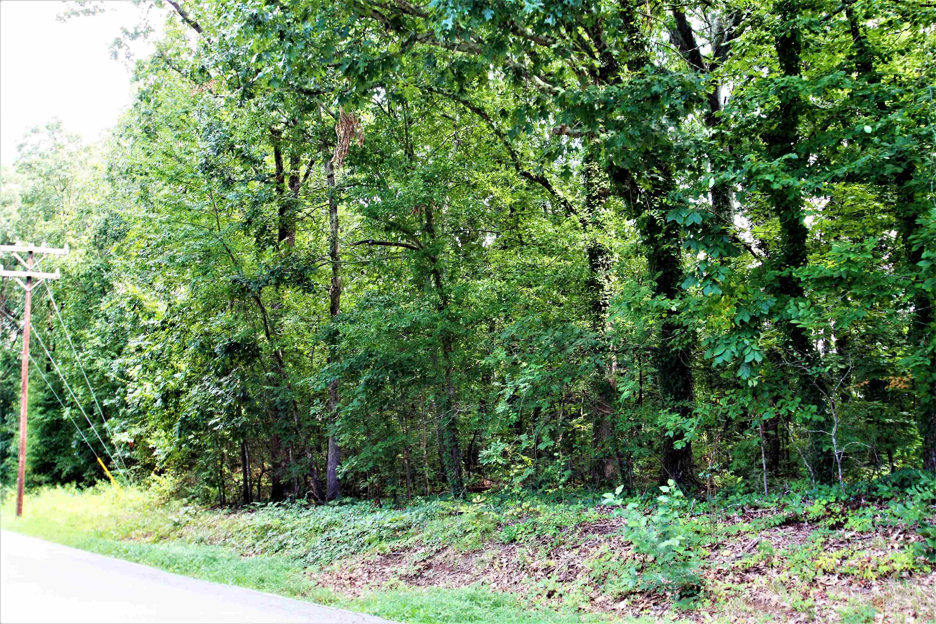 Love Springs Road Cowpens, SC 29330 - Photo 16 of 19
