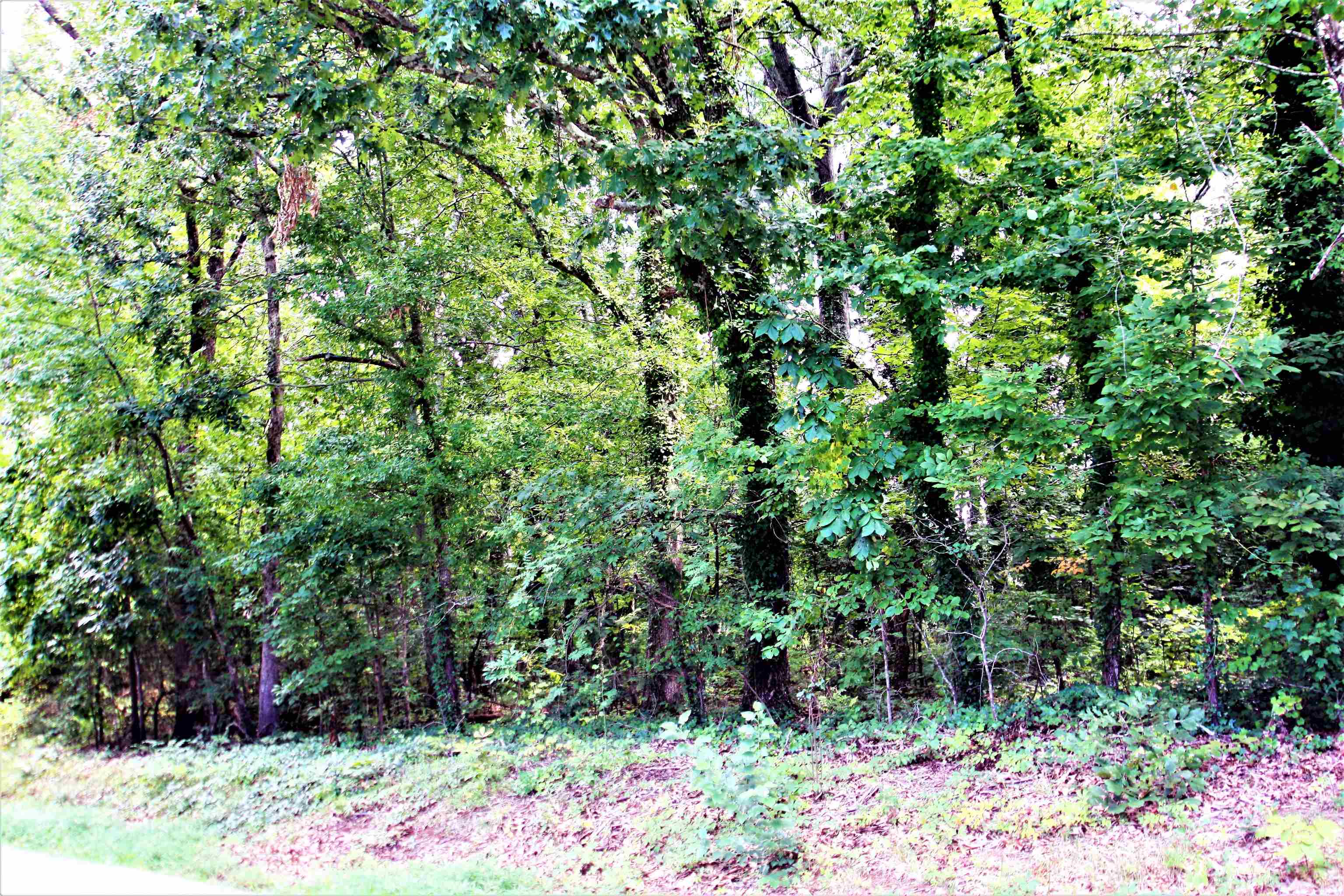 Love Springs Road Cowpens, SC 29330 - Photo 17 of 19