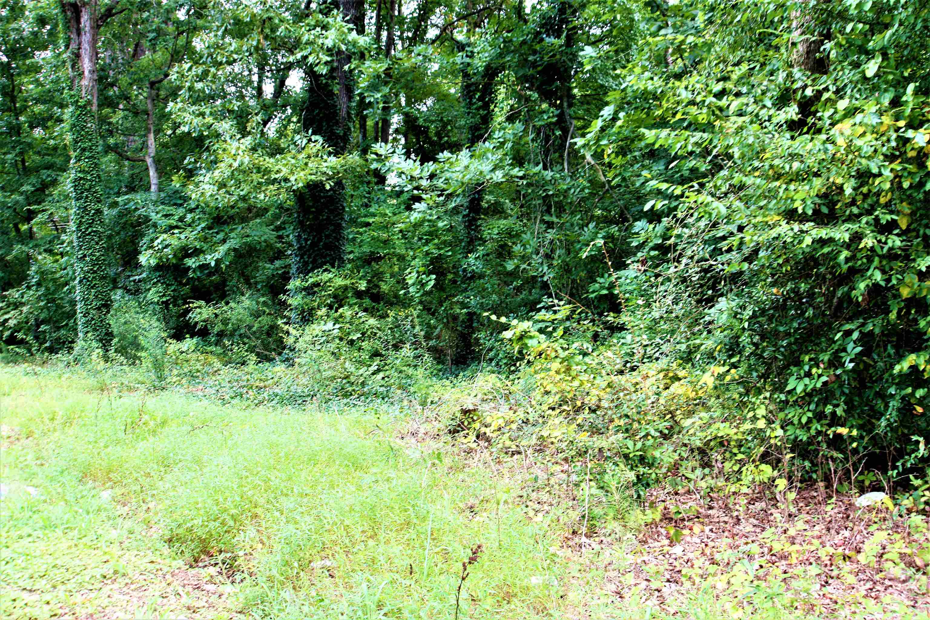 Love Springs Road Cowpens, SC 29330 - Photo 2 of 19
