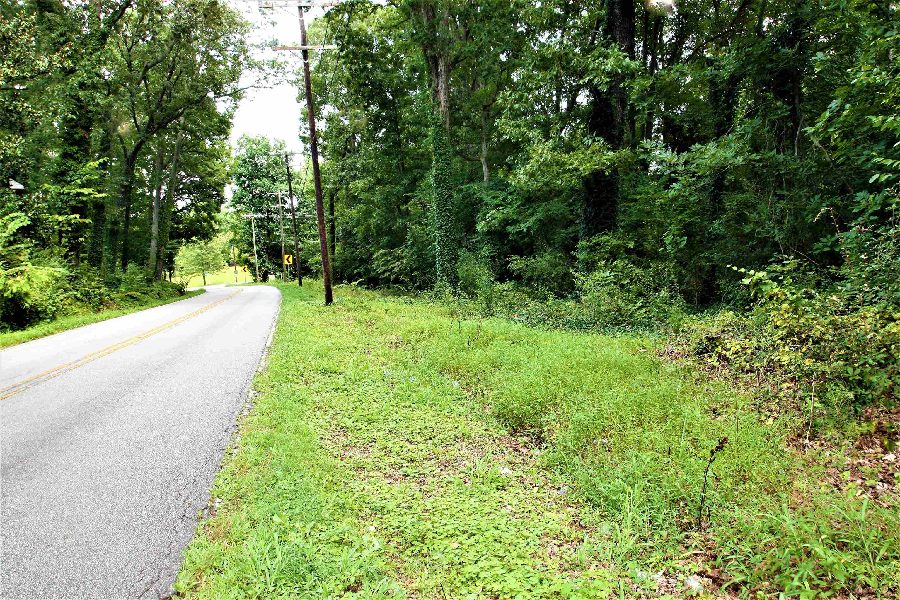 Love Springs Road Cowpens, SC 29330 - Photo 3 of 19