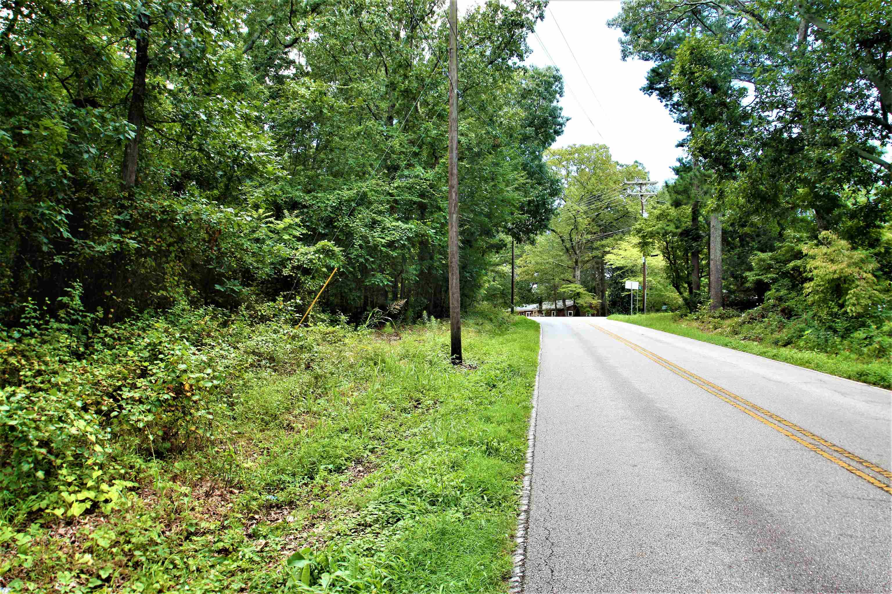 Love Springs Road Cowpens, SC 29330 - Photo 4 of 19