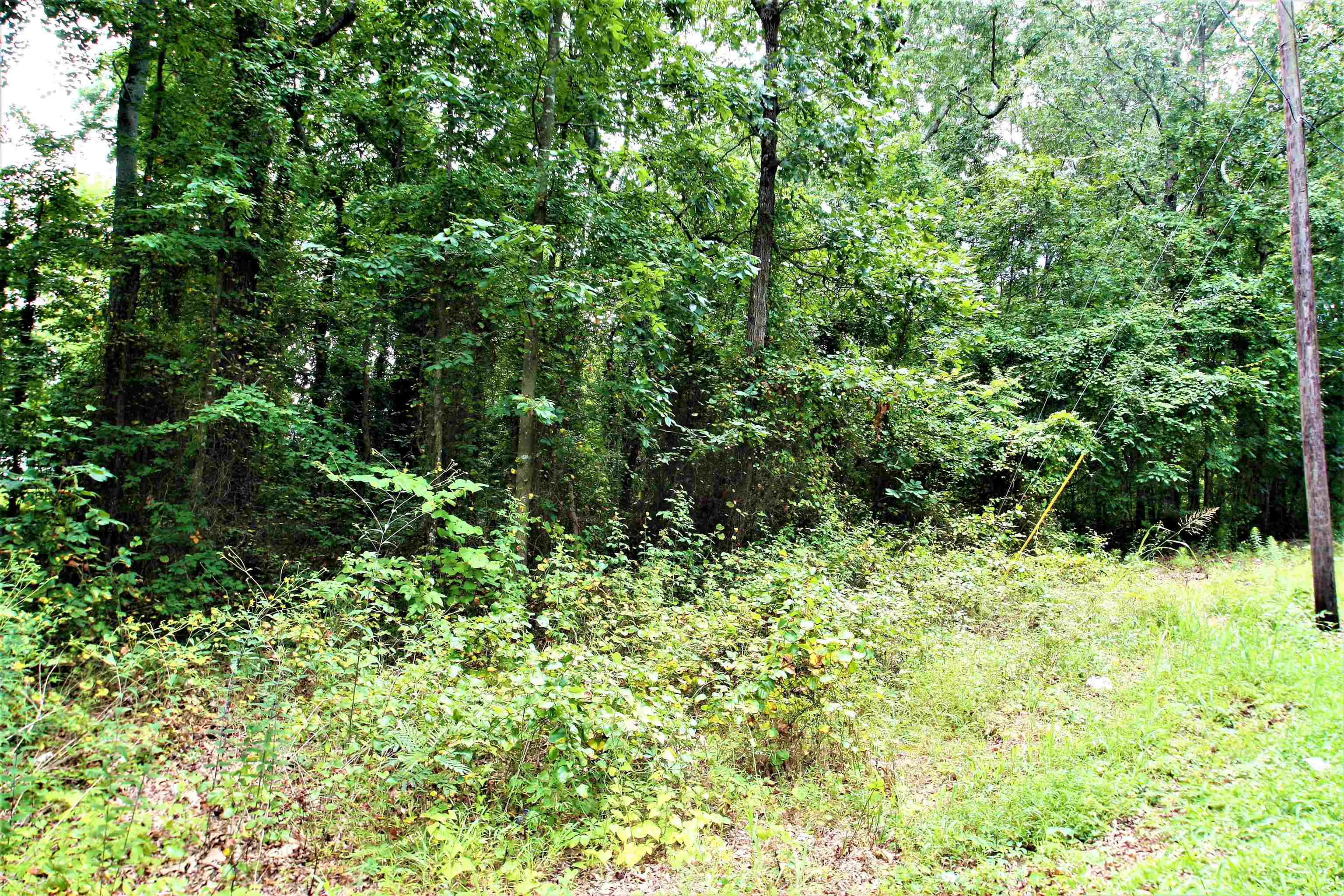 Love Springs Road Cowpens, SC 29330 - Photo 5 of 19