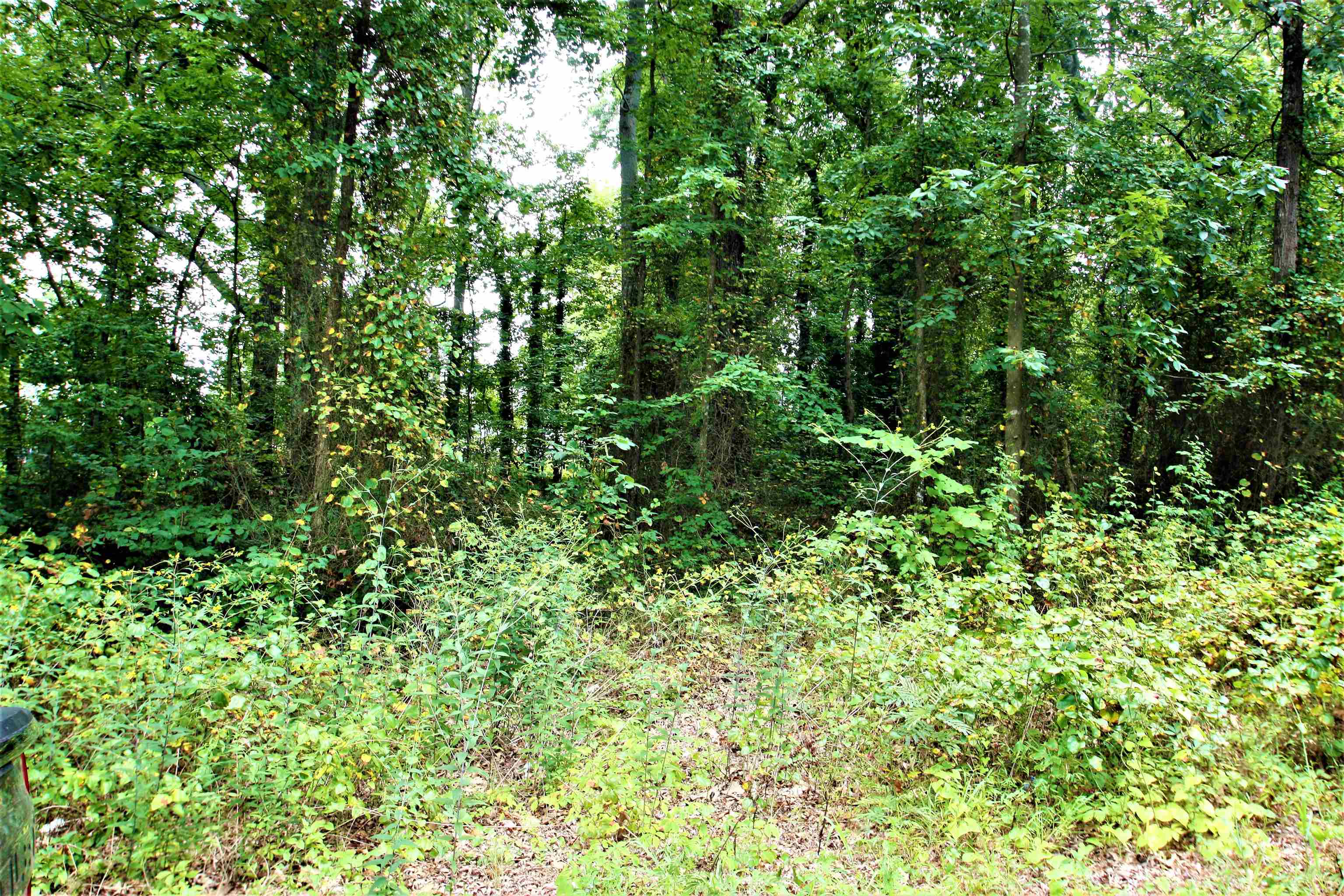 Love Springs Road Cowpens, SC 29330 - Photo 6 of 19