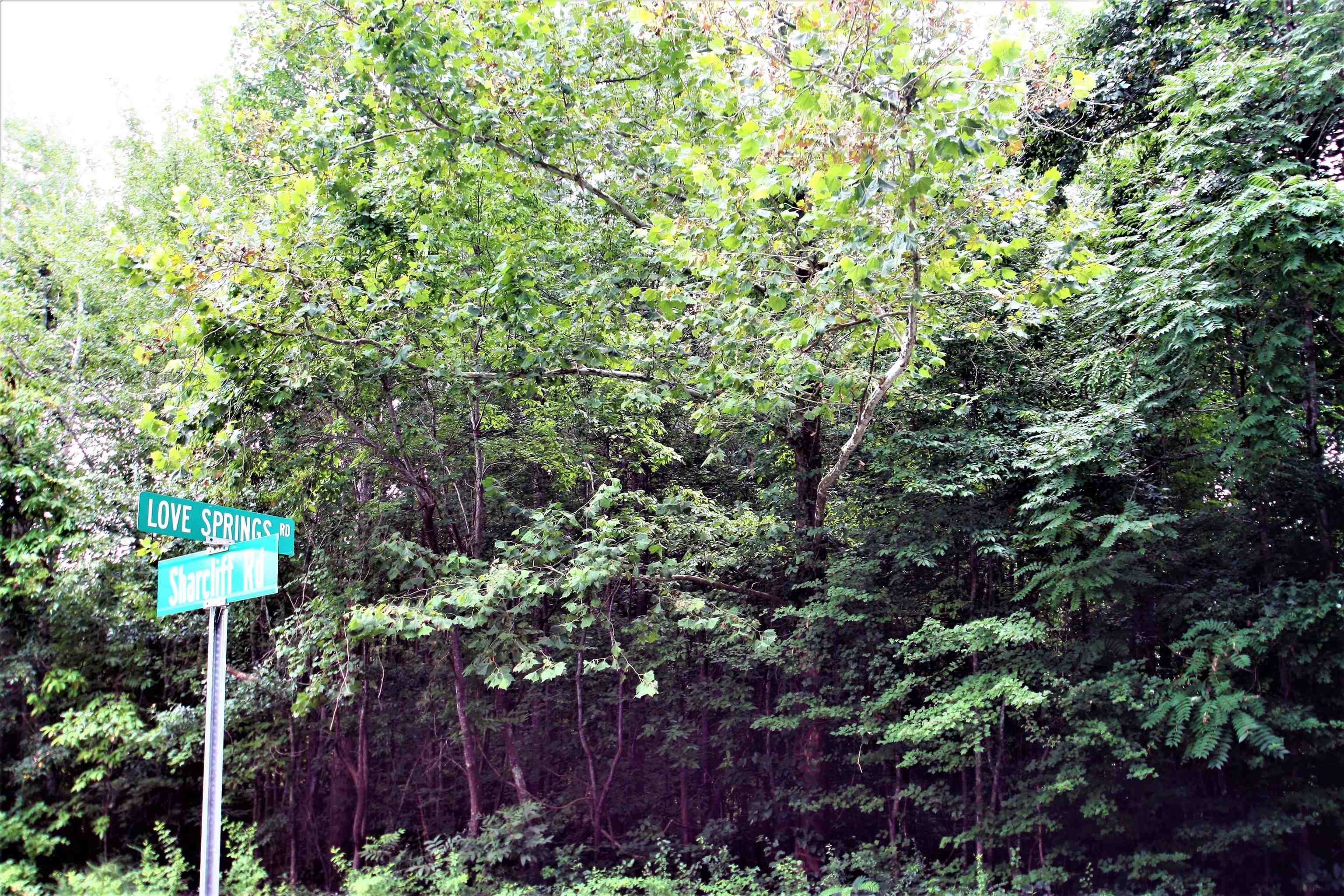 Love Springs Road Cowpens, SC 29330 - Photo 7 of 19