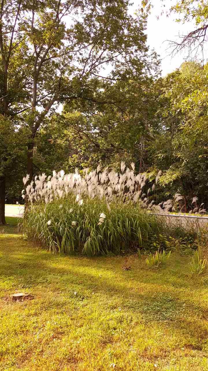 6363 Blackhawk Road Cherry Valley, IL 61016 - Photo 24 of 25 Gallery Image 24