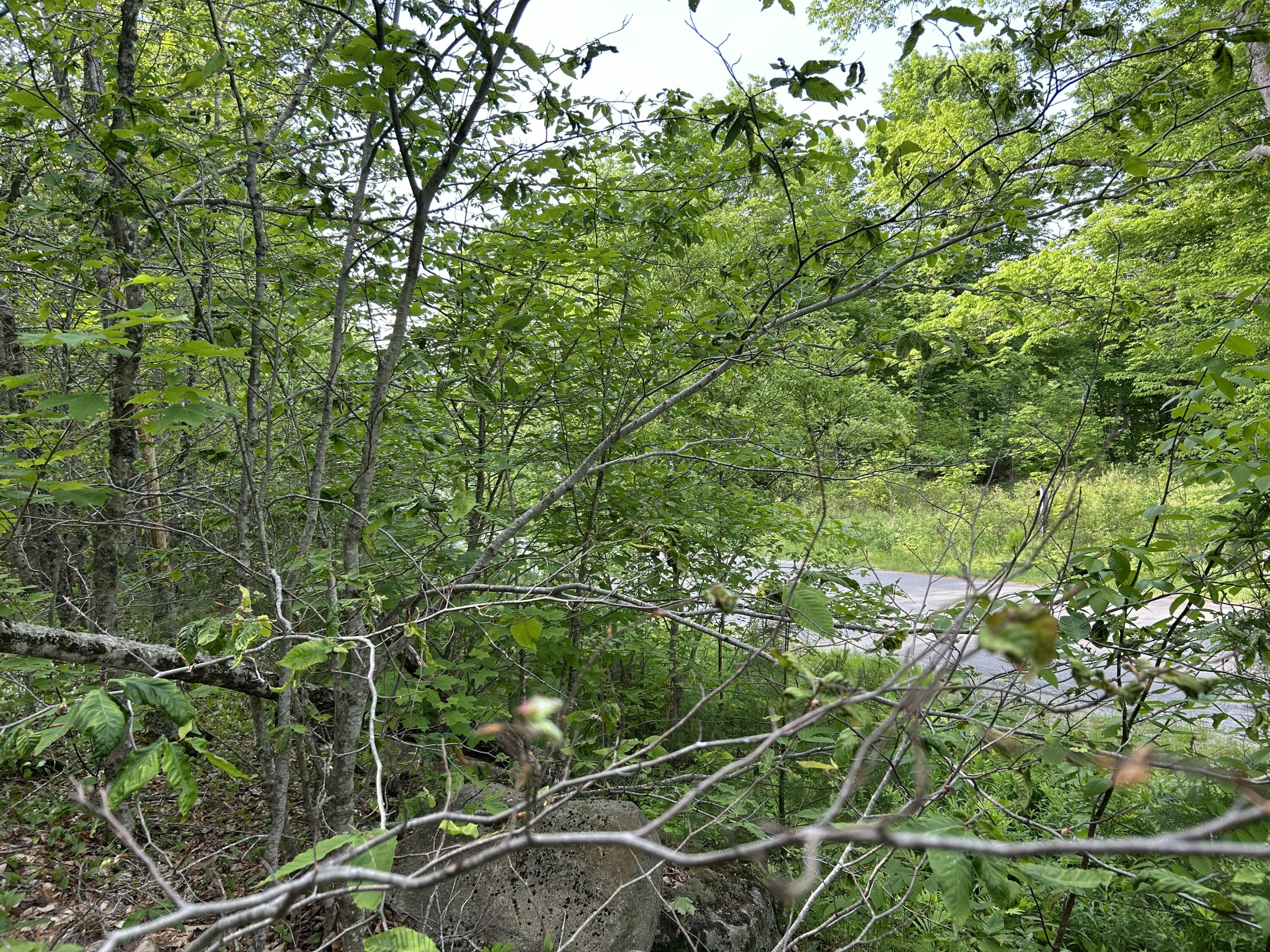M5-l16 Clark Road Prospect, ME 04981 - Photo 1 of 45 IMG_8748