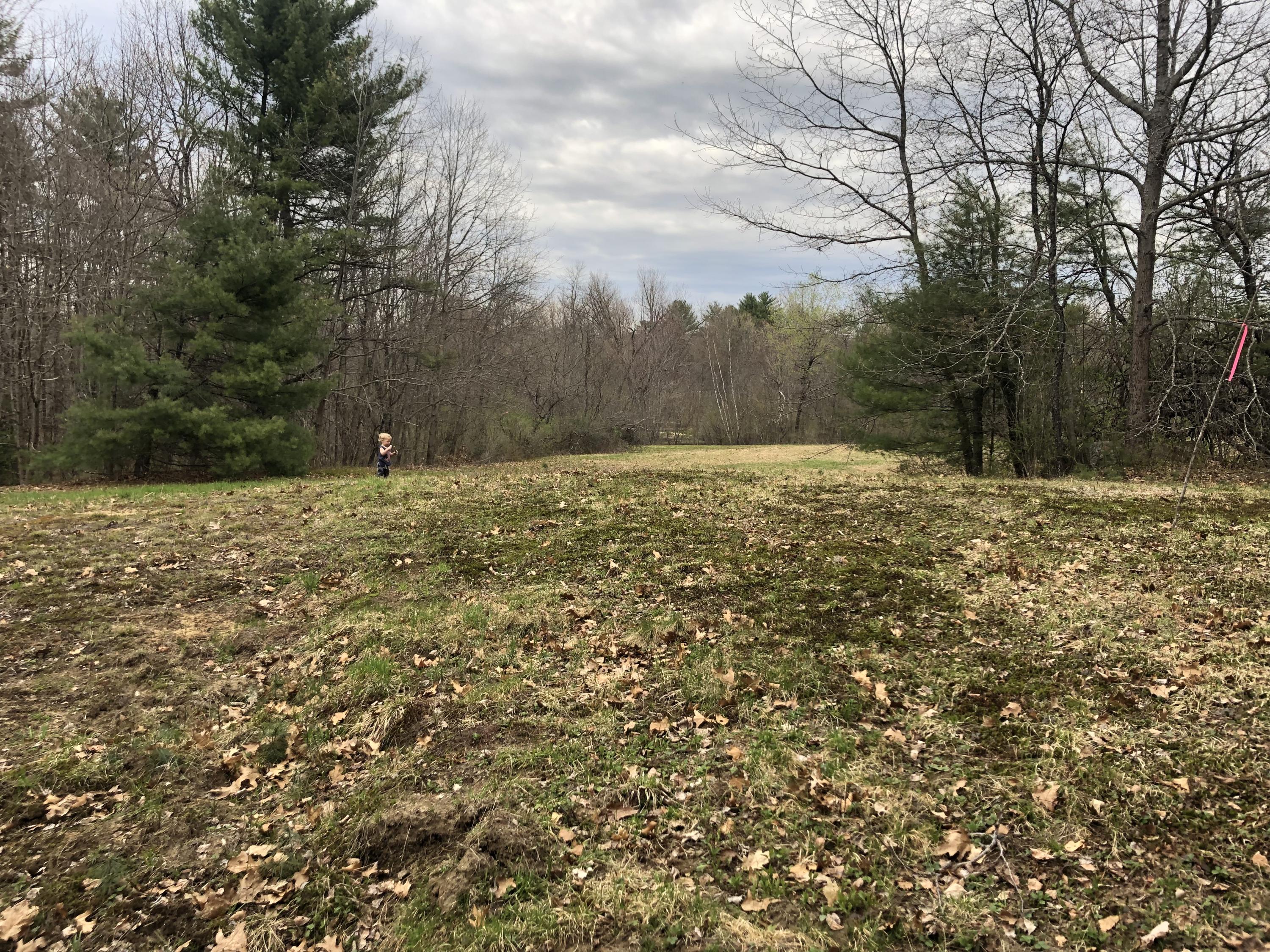 95 Lane Road Mechanic Falls, ME 04256 - Photo 5 of 12 Field above river